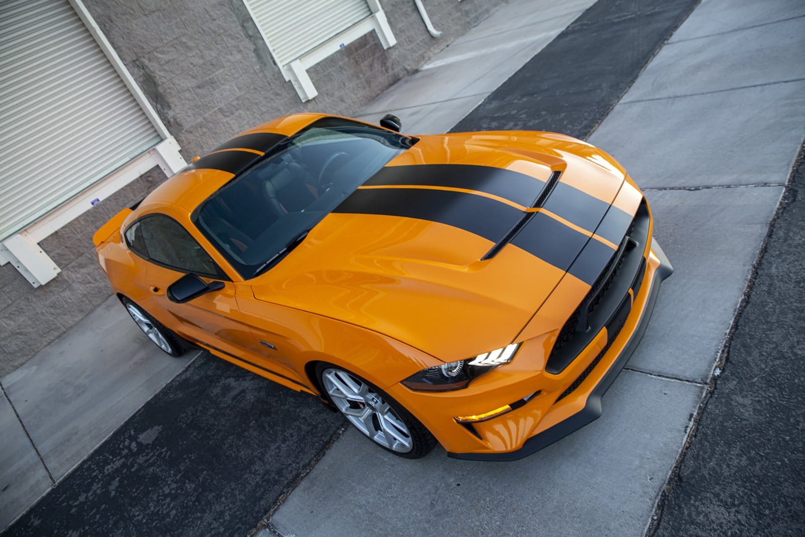 FORD MUSTANG GT BY SHELBY AMERICAN, foto 9