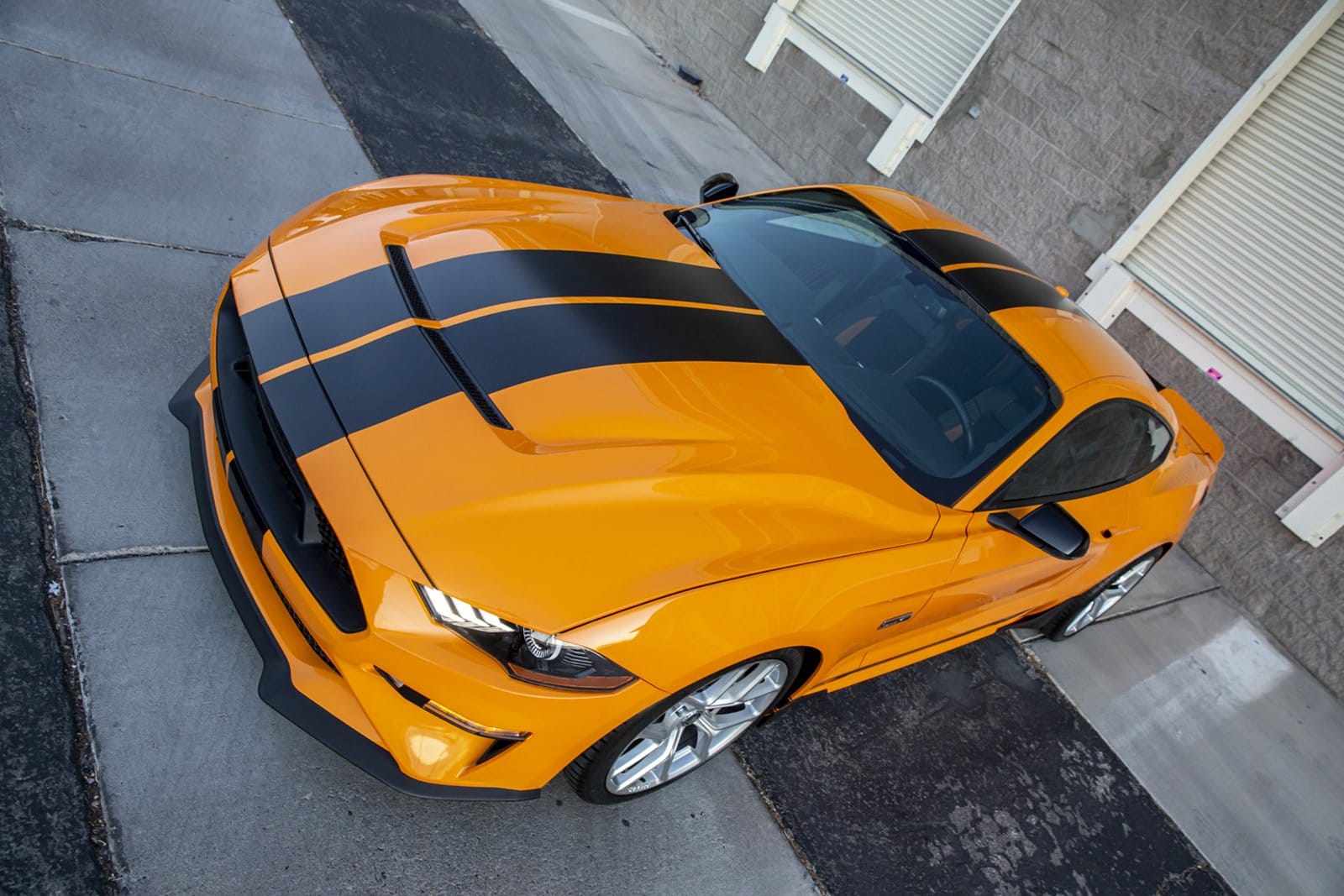 FORD MUSTANG GT BY SHELBY AMERICAN, foto 10