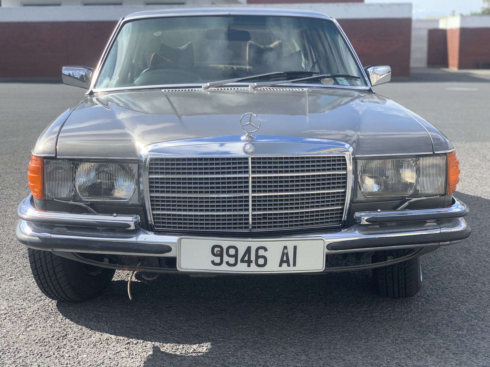 1980 - MERCEDES-BENZ 450 SEL EX BONO VOX, foto 47