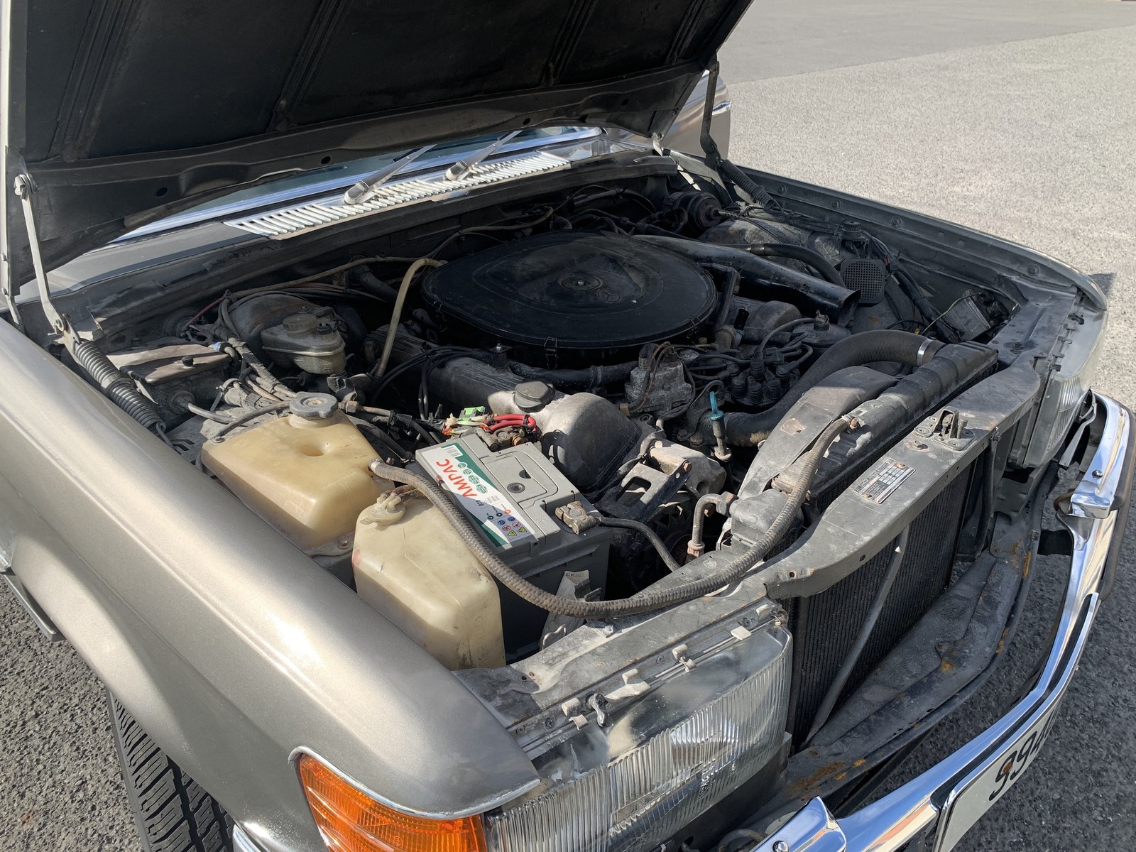 1980 - MERCEDES-BENZ 450 SEL EX BONO VOX, foto 82