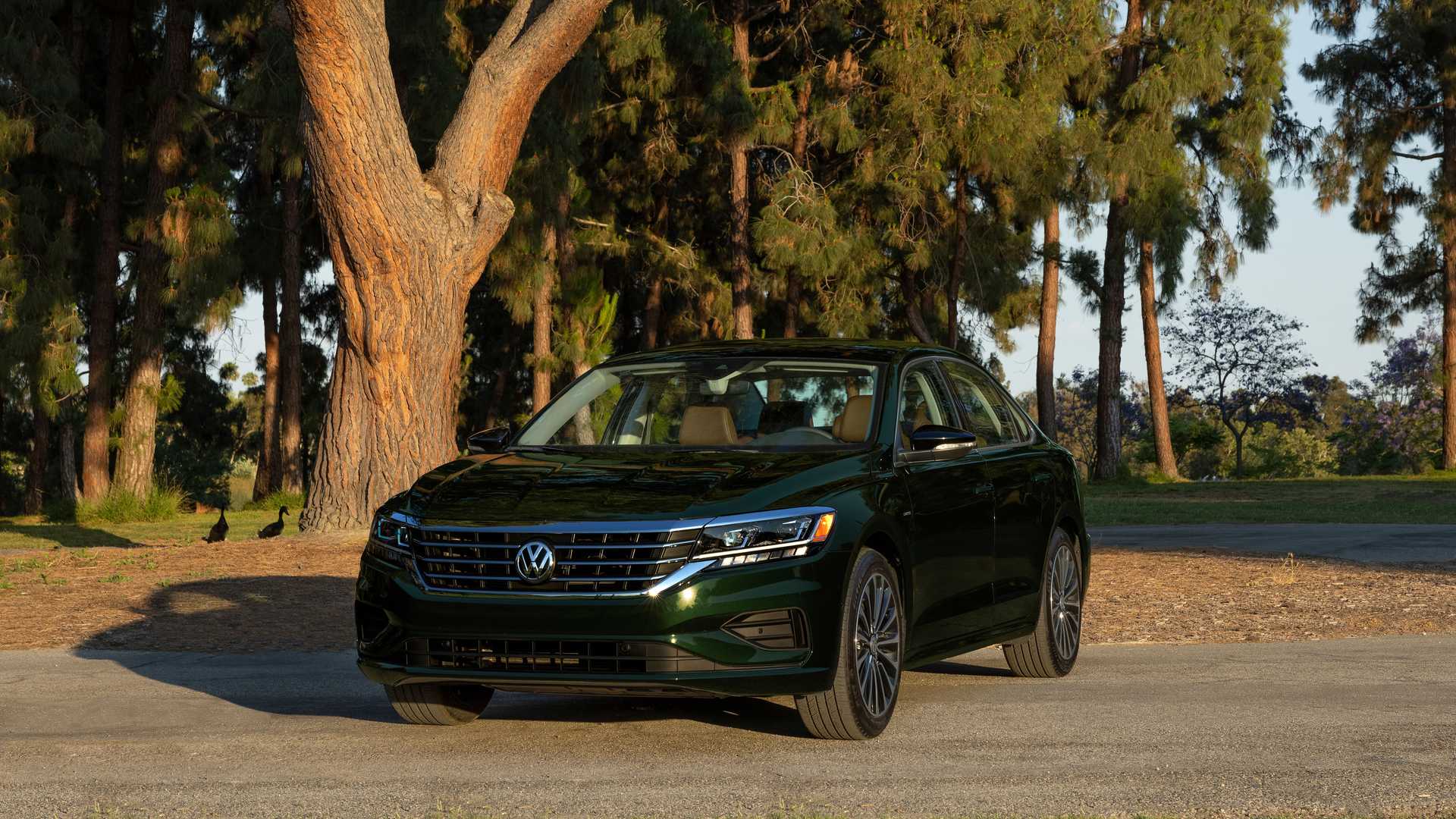 2022 - VOLKSWAGEN PASSAT LIMITED EDITION, foto 1