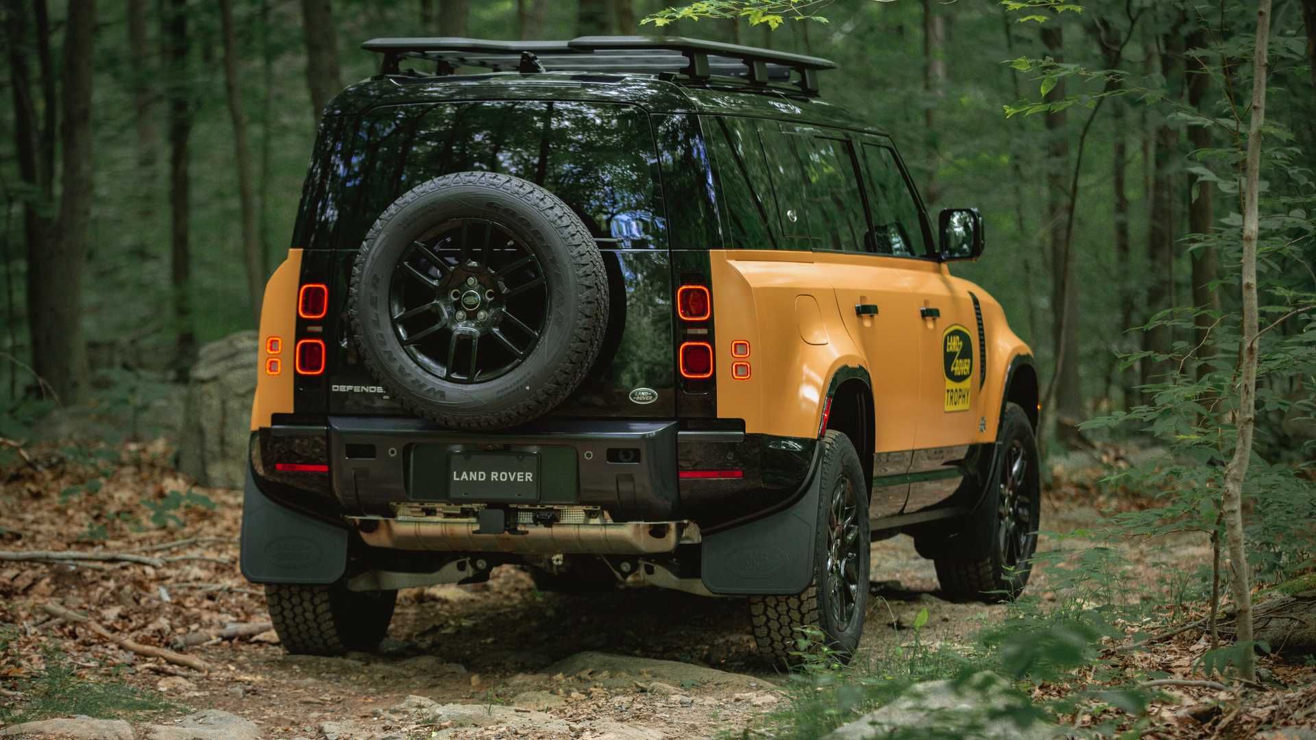 2021 - LAND ROVER DEFENDER TROPHY EDITION, foto 2