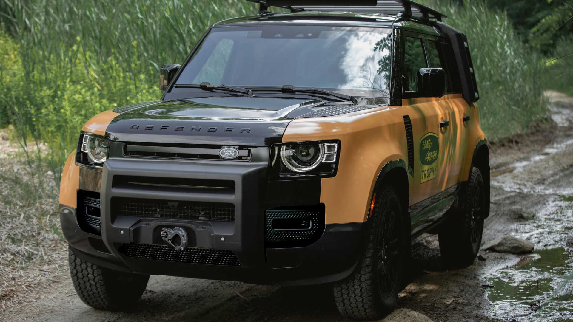 2021 - LAND ROVER DEFENDER TROPHY EDITION, foto 6