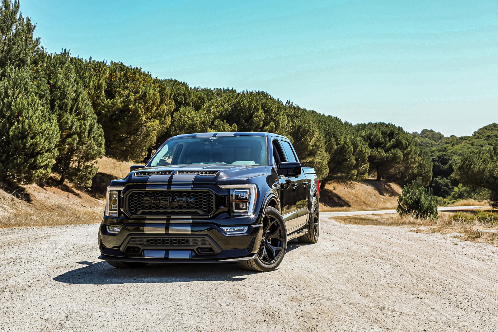 FORD F-150 SHELBY SUPER SNAKE, foto 1