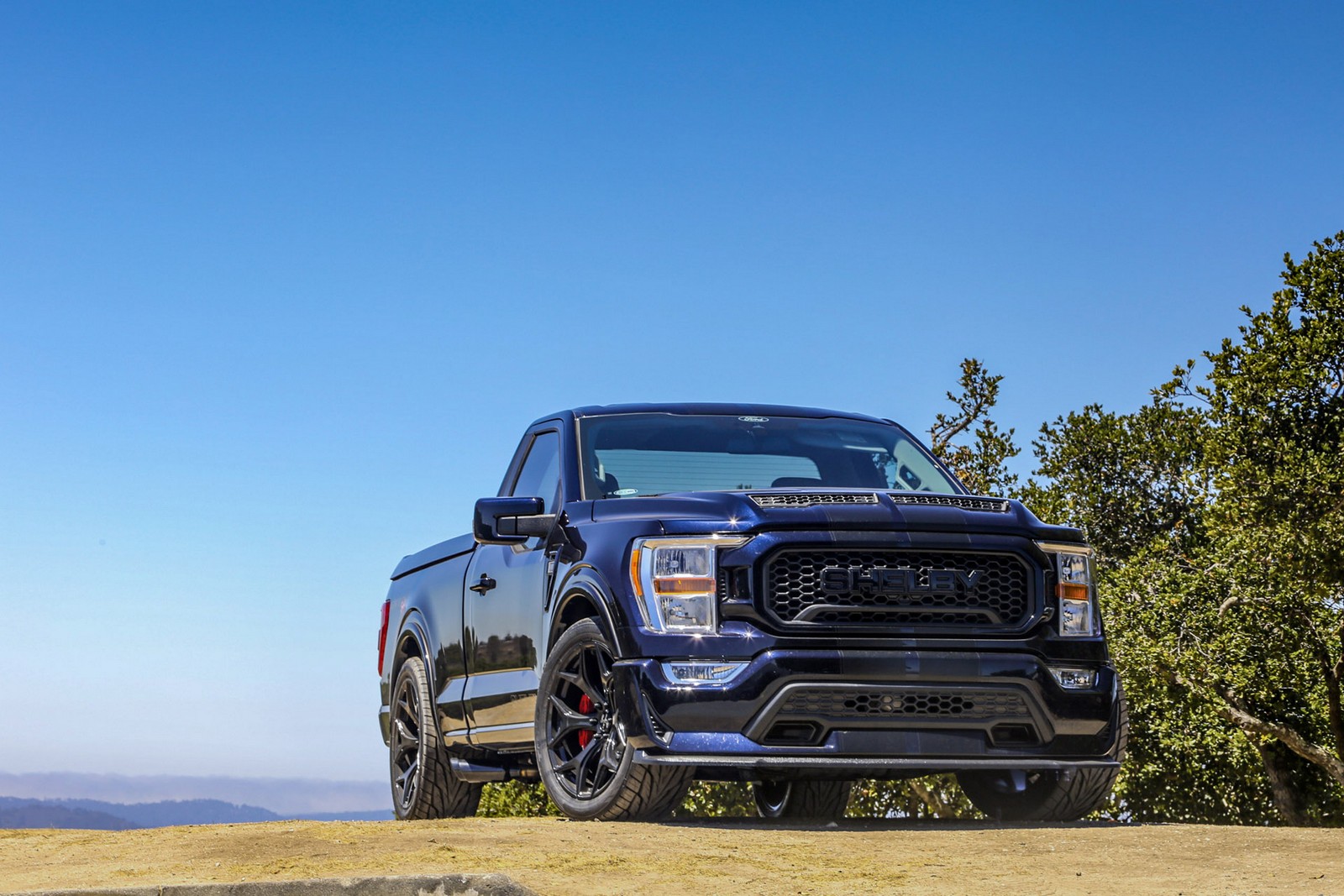 FORD F-150 SHELBY SUPER SNAKE, foto 2