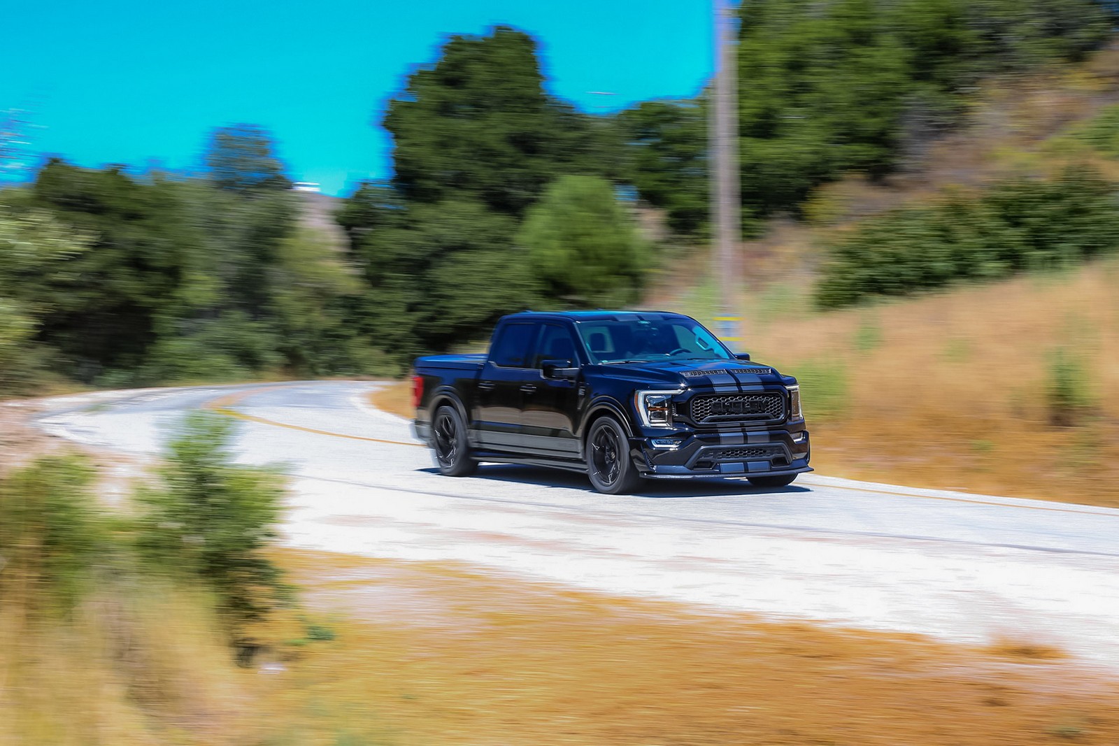 FORD F-150 SHELBY SUPER SNAKE, foto 3