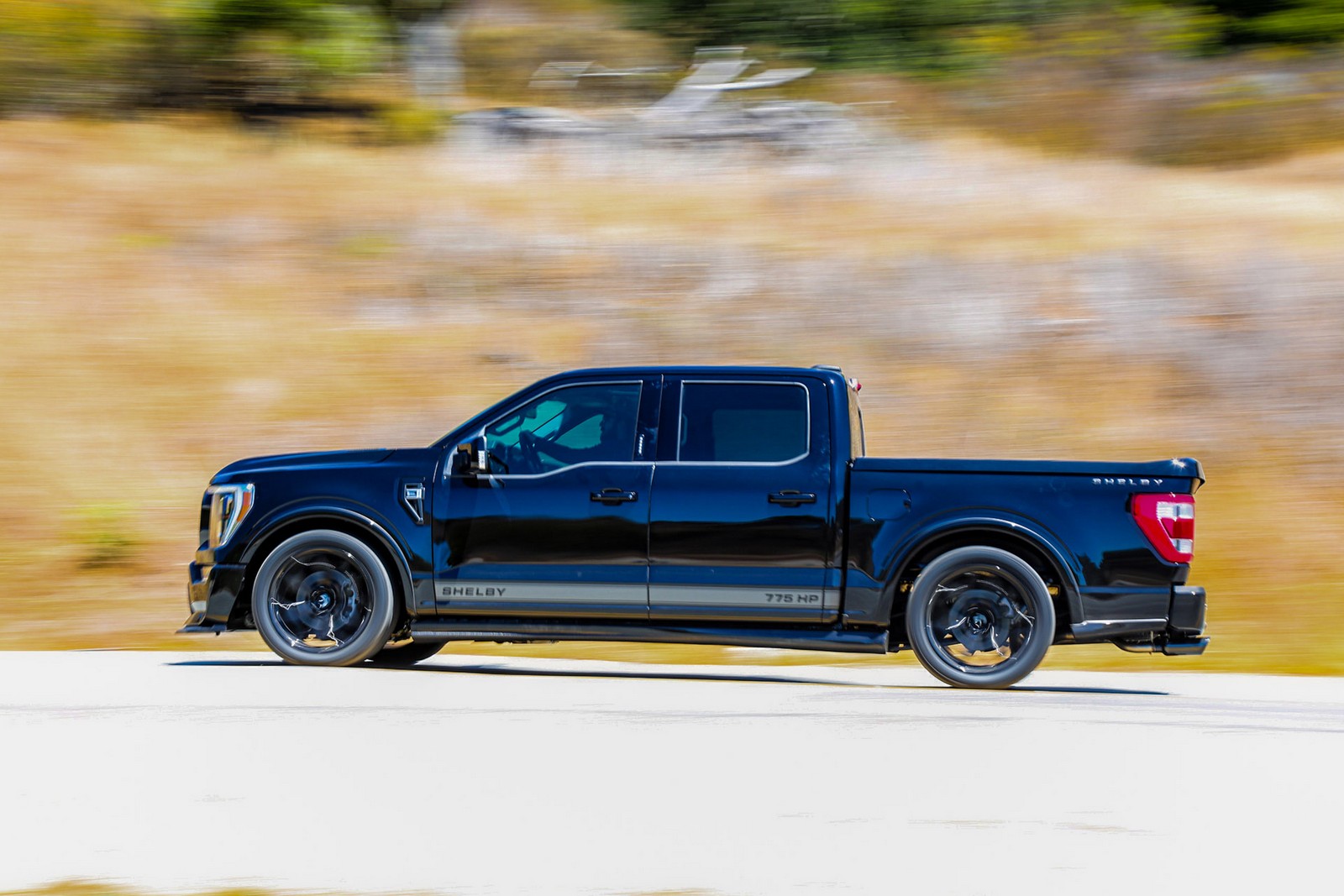 FORD F-150 SHELBY SUPER SNAKE, foto 5