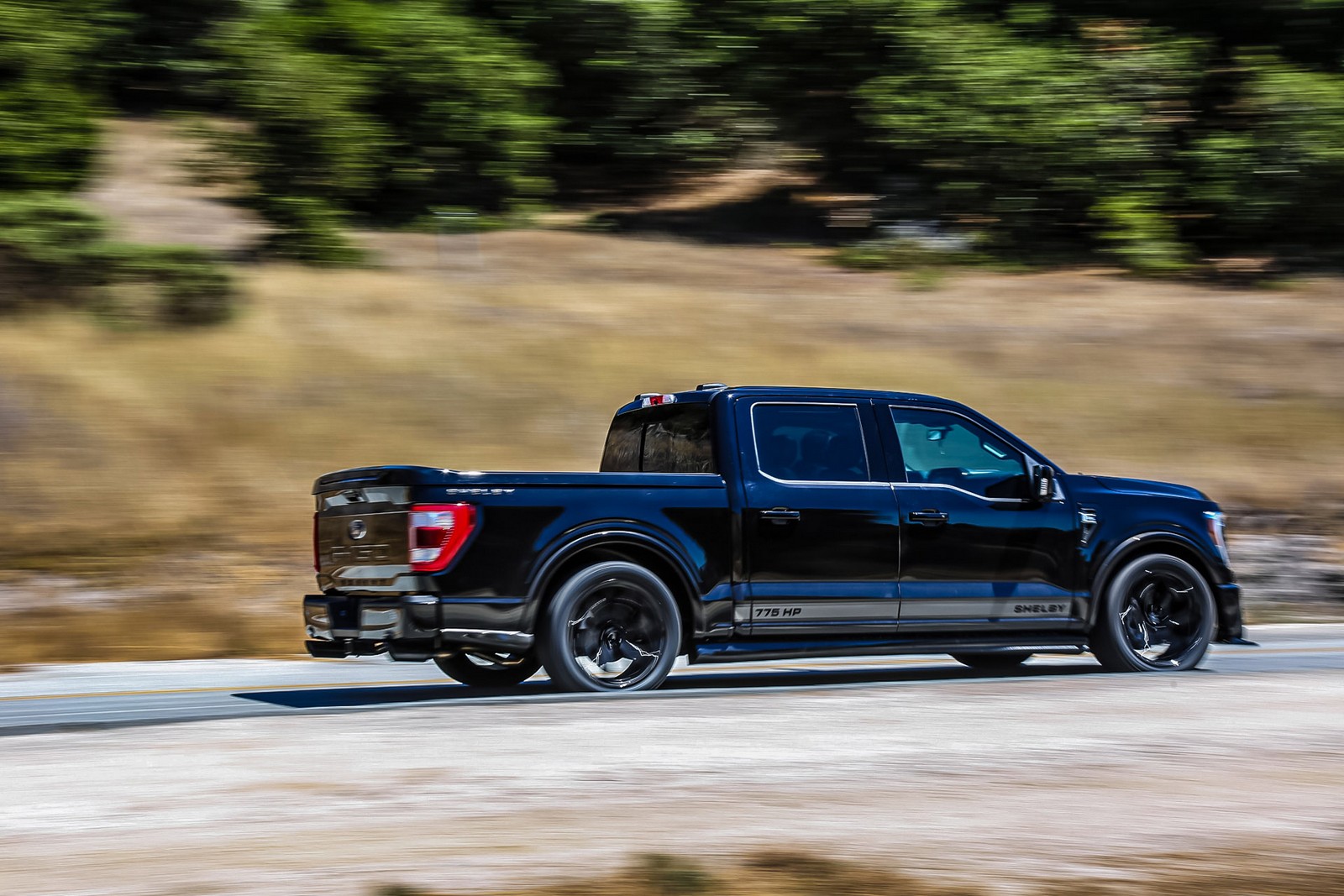 FORD F-150 SHELBY SUPER SNAKE, foto 6