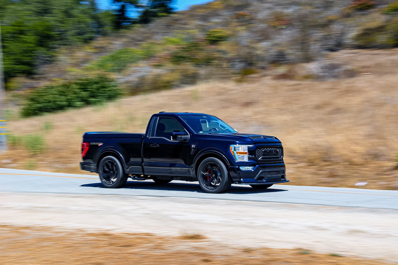FORD F-150 SHELBY SUPER SNAKE, foto 8