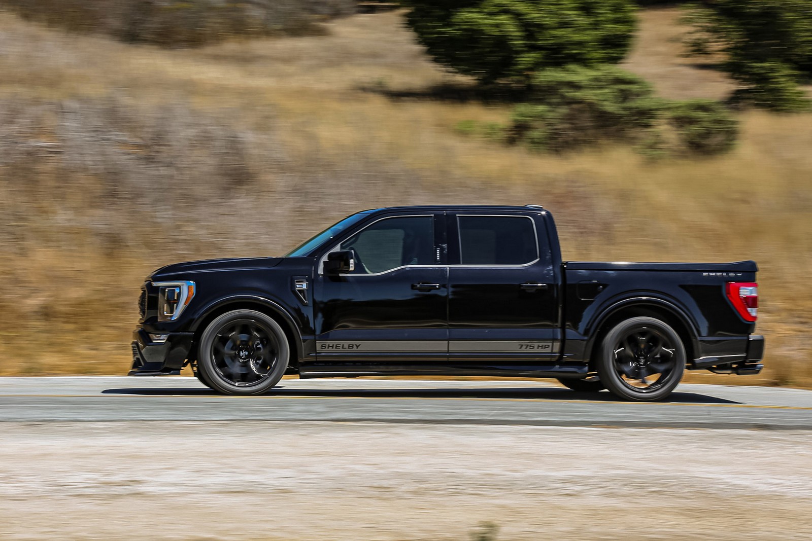 FORD F-150 SHELBY SUPER SNAKE, foto 9