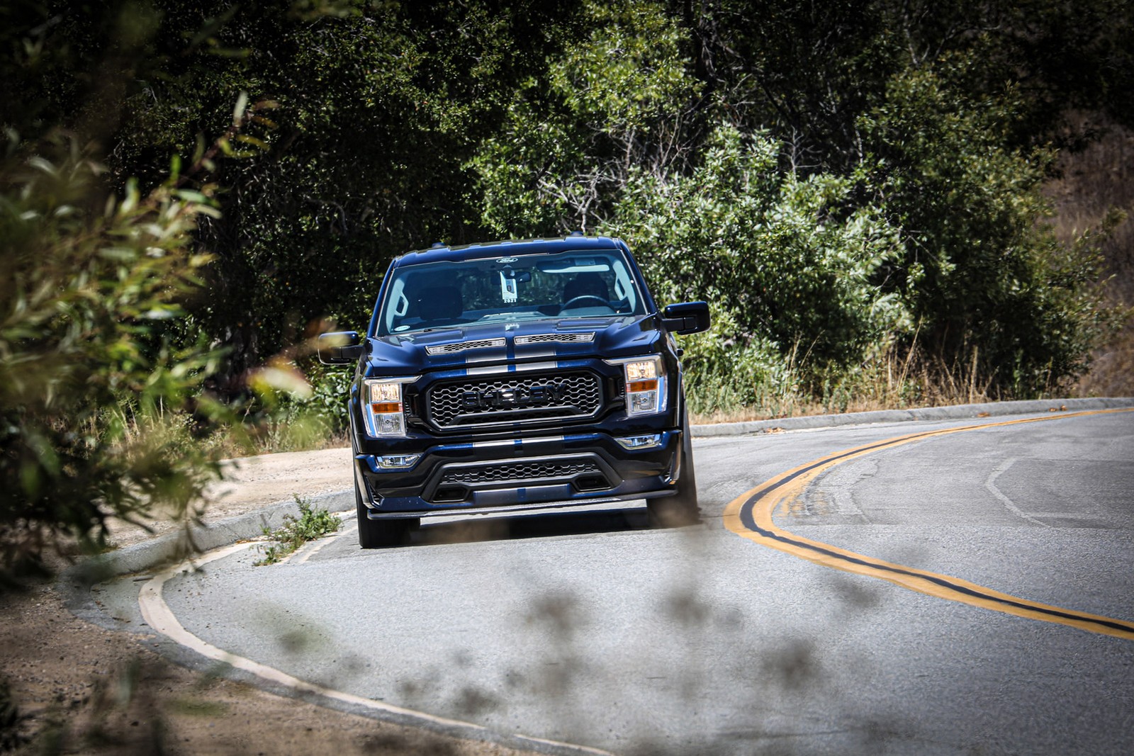 FORD F-150 SHELBY SUPER SNAKE, foto 12