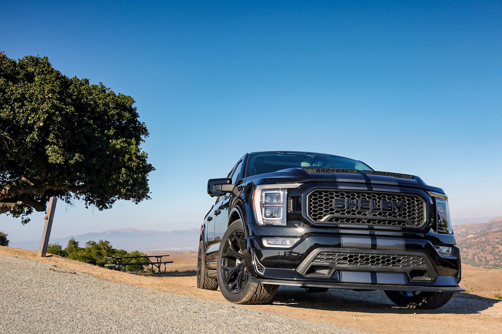 FORD F-150 SHELBY SUPER SNAKE, foto 15