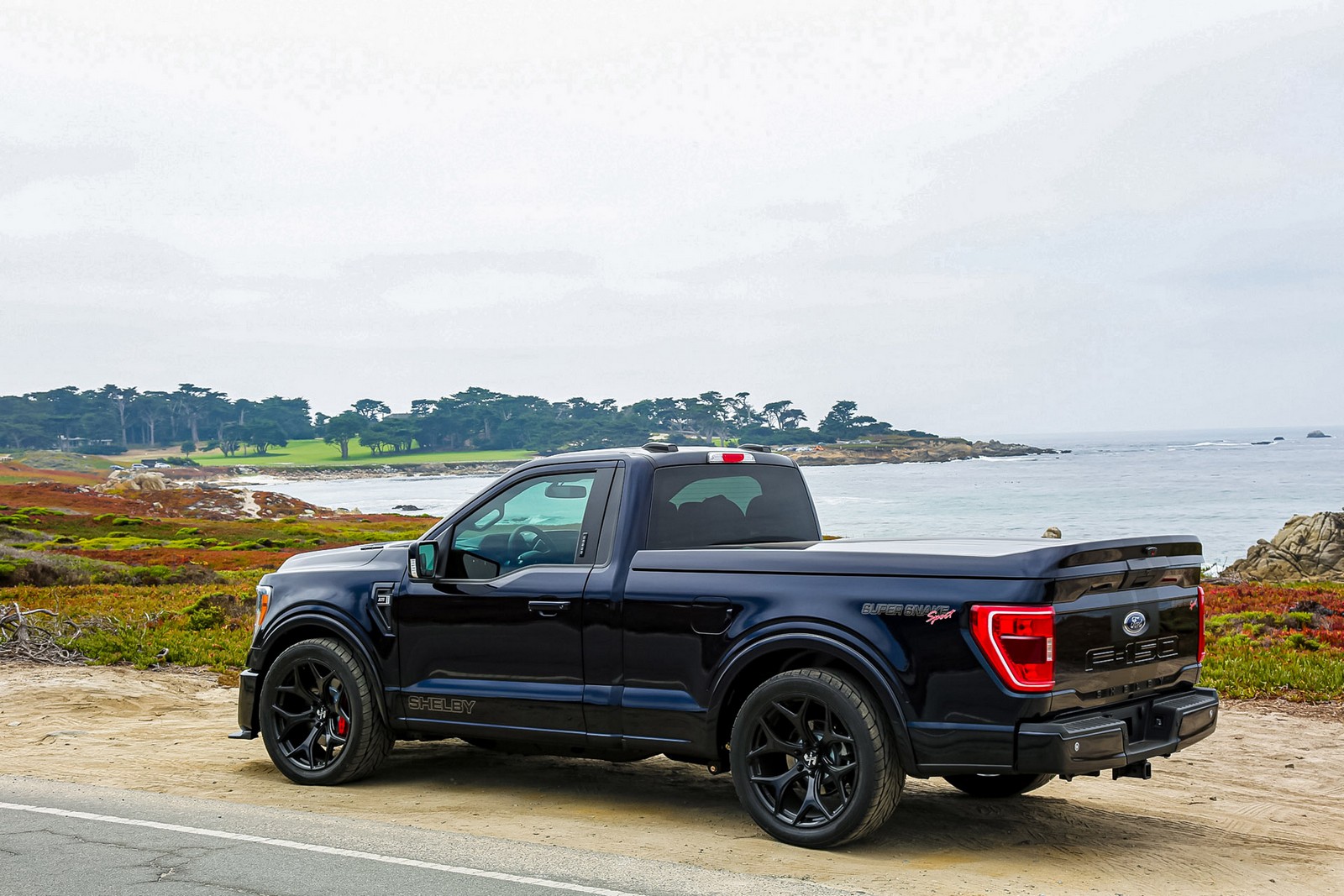 FORD F-150 SHELBY SUPER SNAKE, foto 17