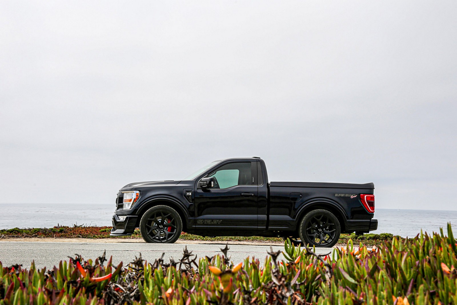 FORD F-150 SHELBY SUPER SNAKE, foto 18