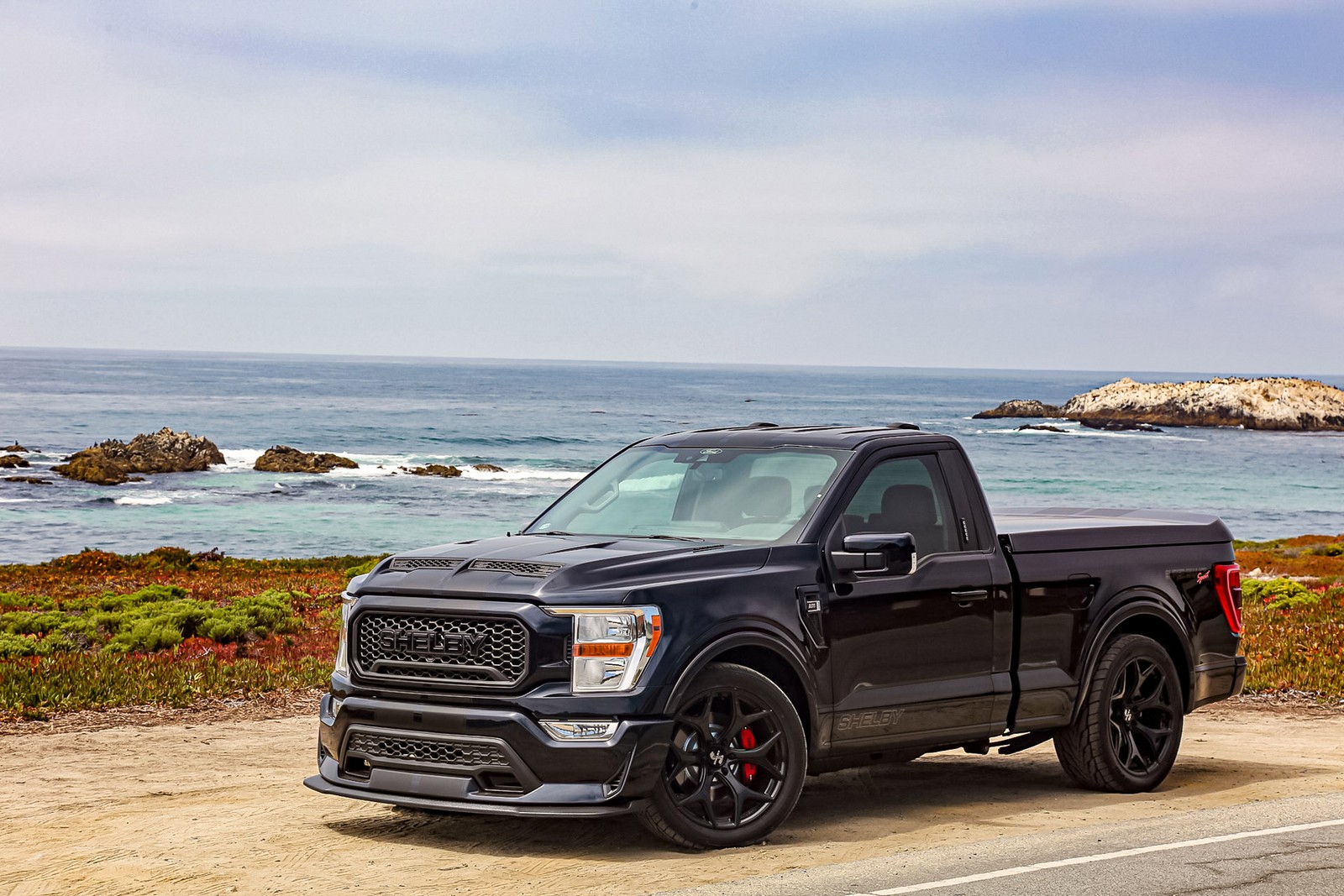 FORD F-150 SHELBY SUPER SNAKE, foto 20