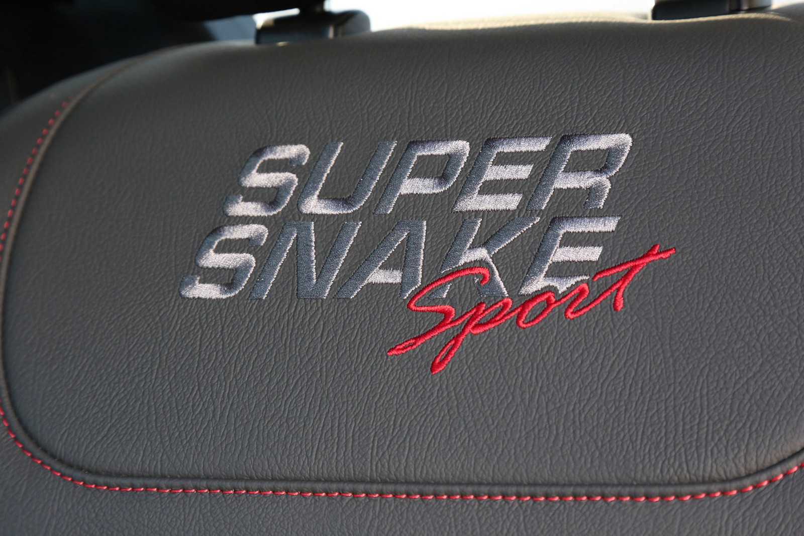 FORD F-150 SHELBY SUPER SNAKE, foto 25