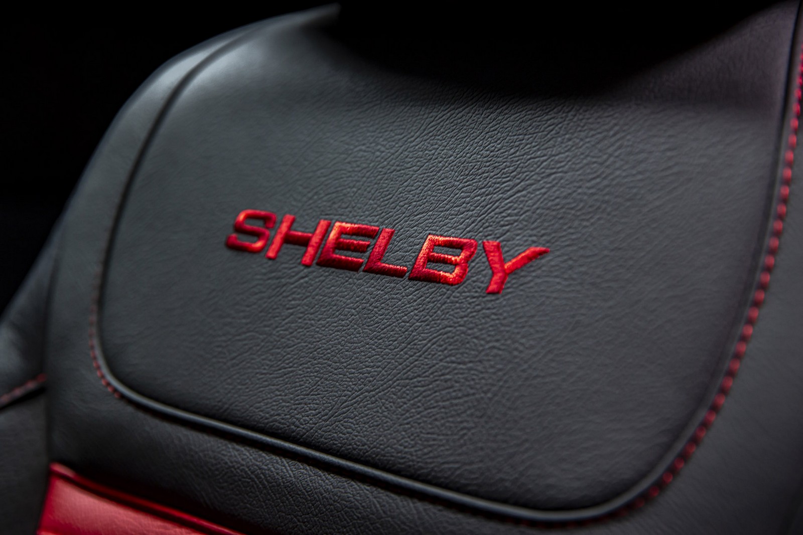 FORD F-150 SHELBY SUPER SNAKE, foto 29