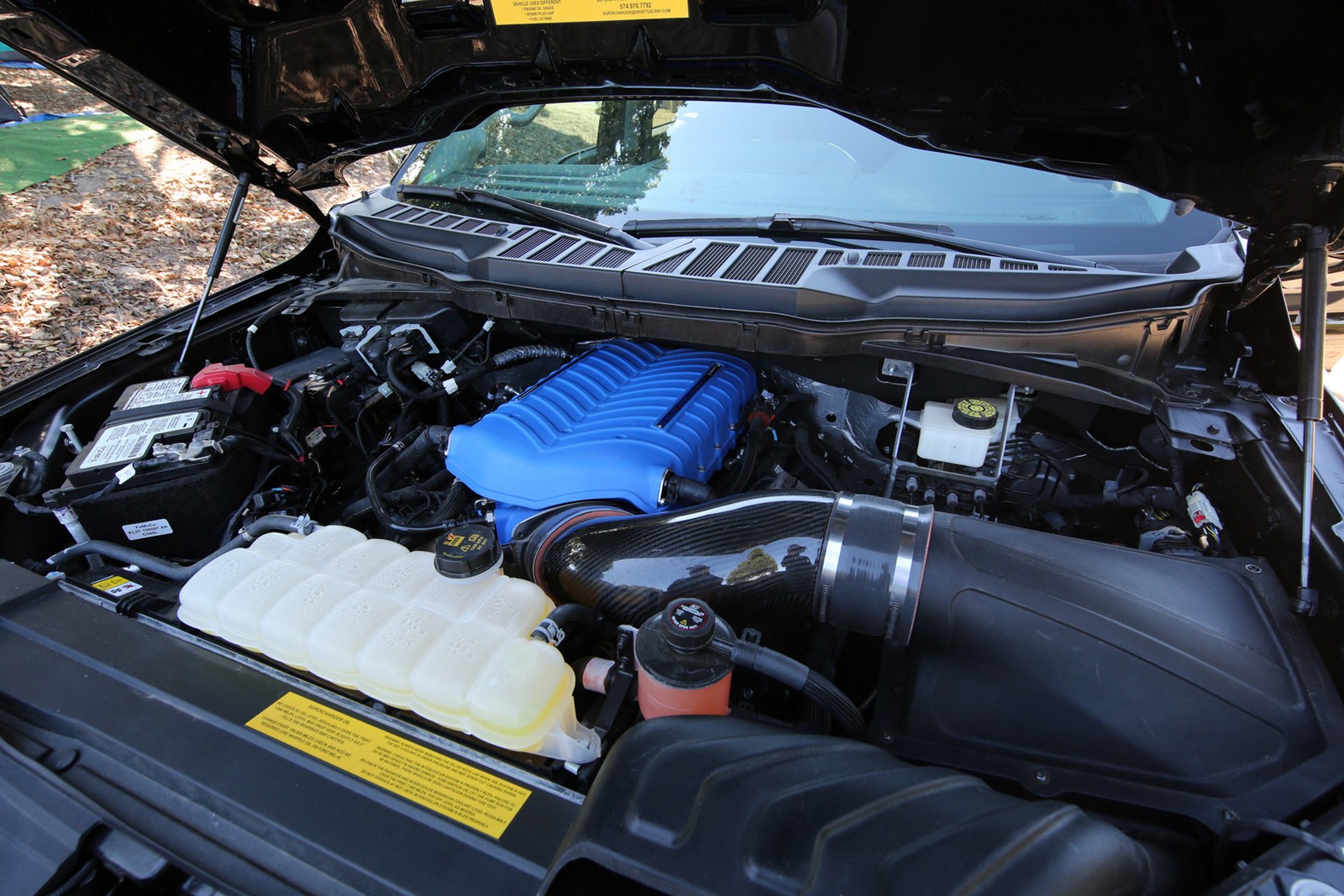 FORD F-150 SHELBY SUPER SNAKE, foto 31