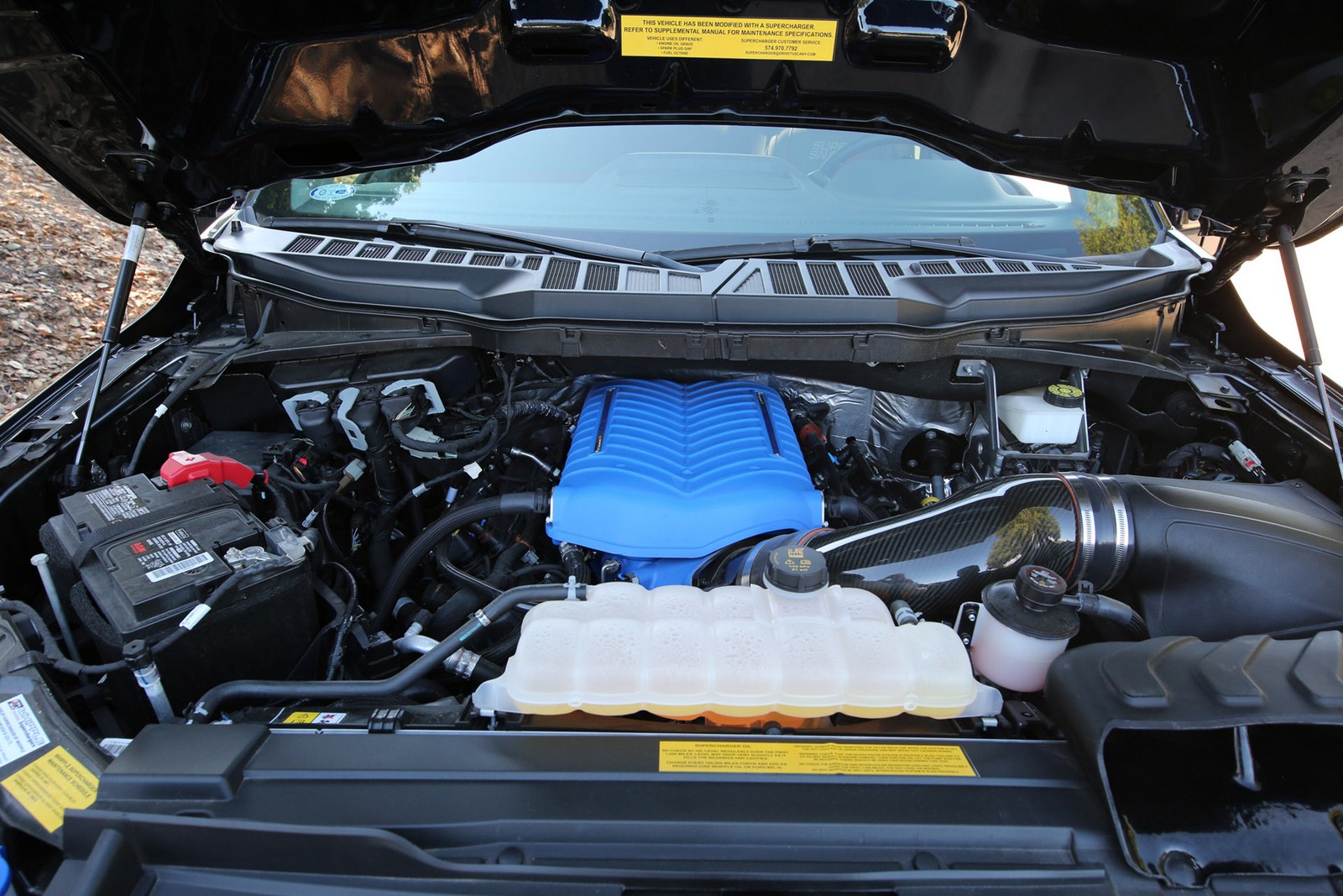 FORD F-150 SHELBY SUPER SNAKE, foto 32
