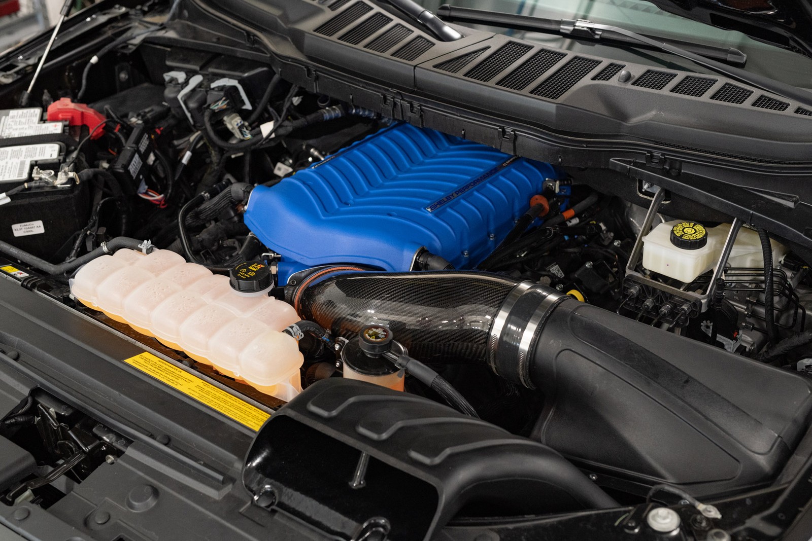 FORD F-150 SHELBY SUPER SNAKE, foto 34