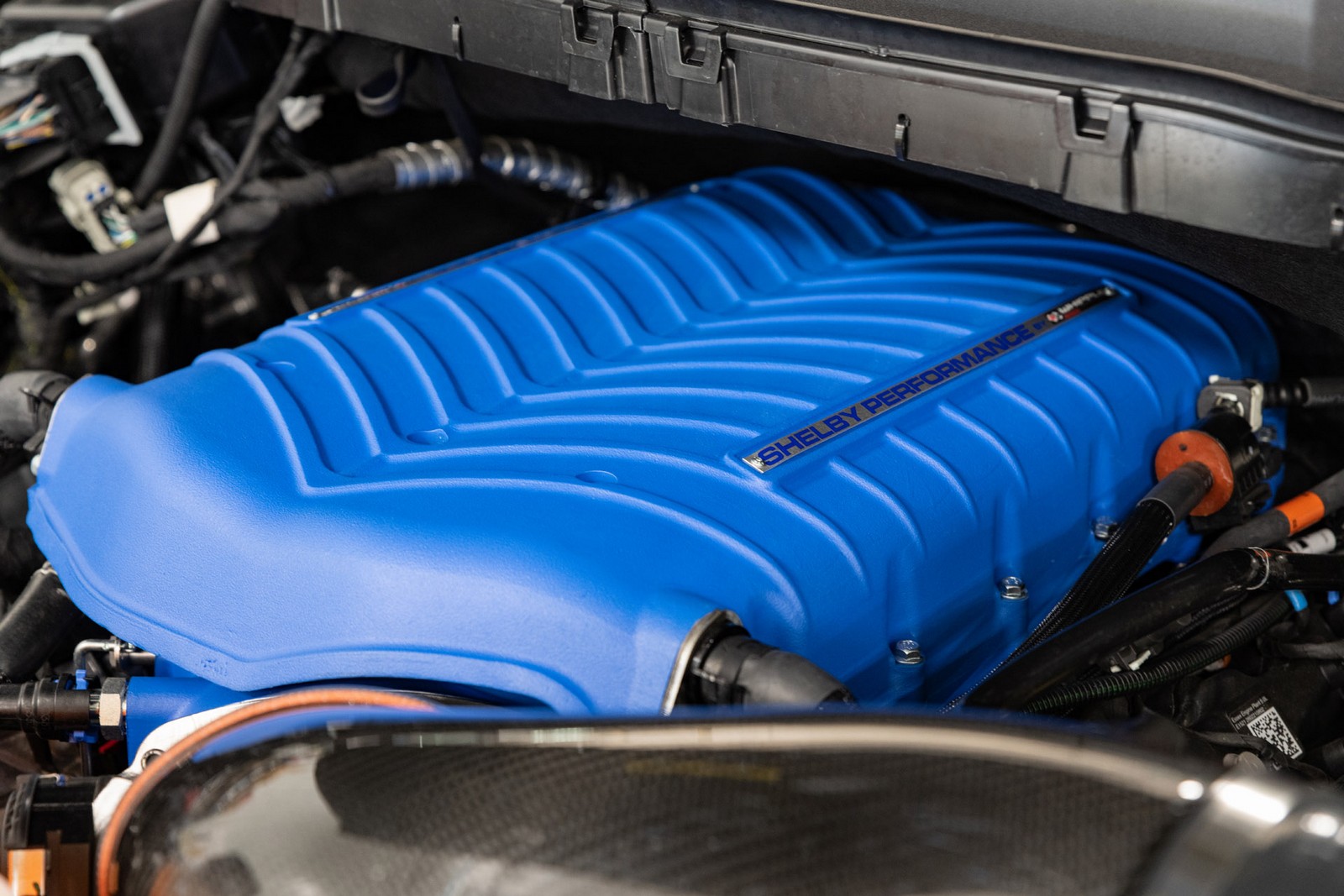 FORD F-150 SHELBY SUPER SNAKE, foto 37