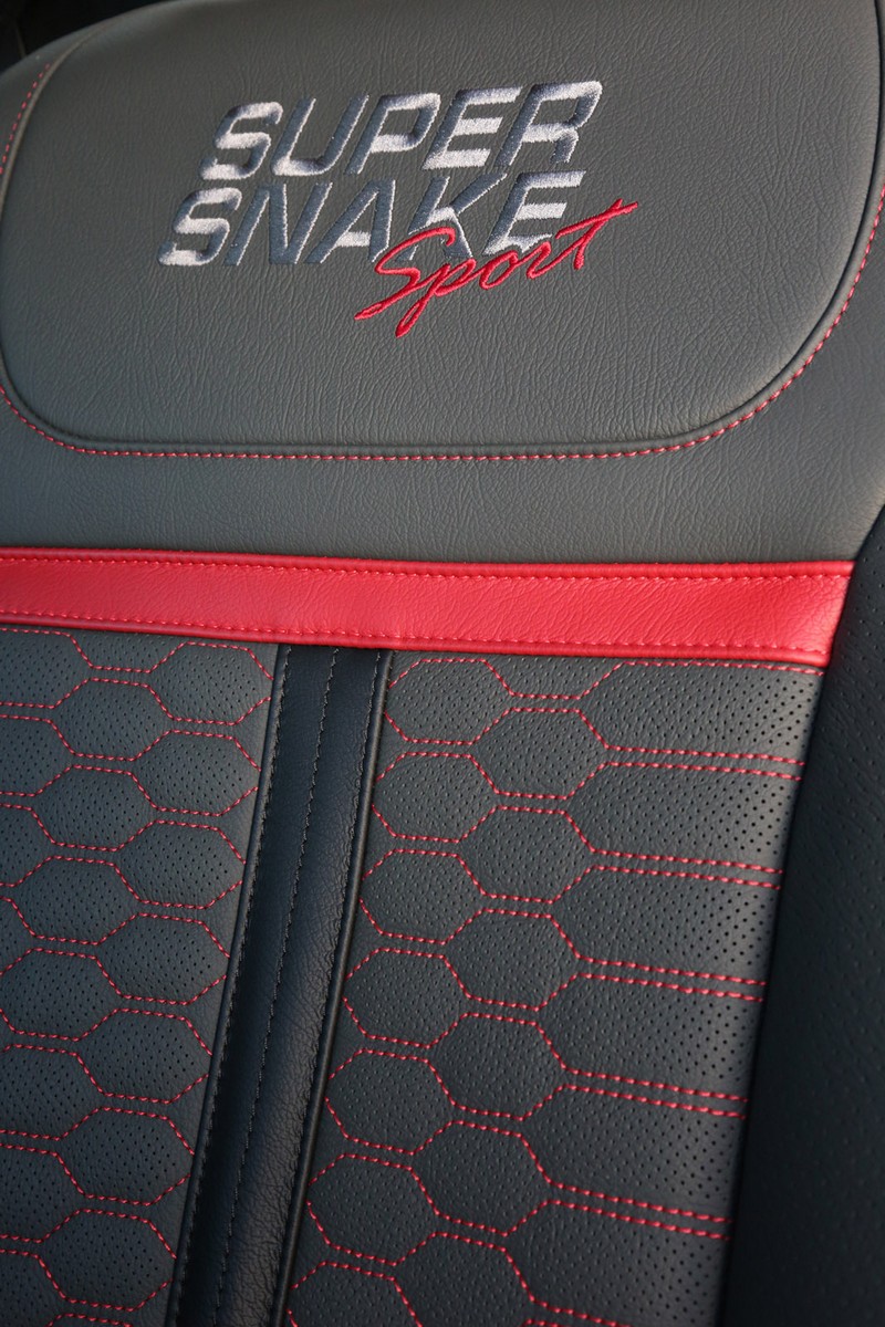 FORD F-150 SHELBY SUPER SNAKE, foto 40