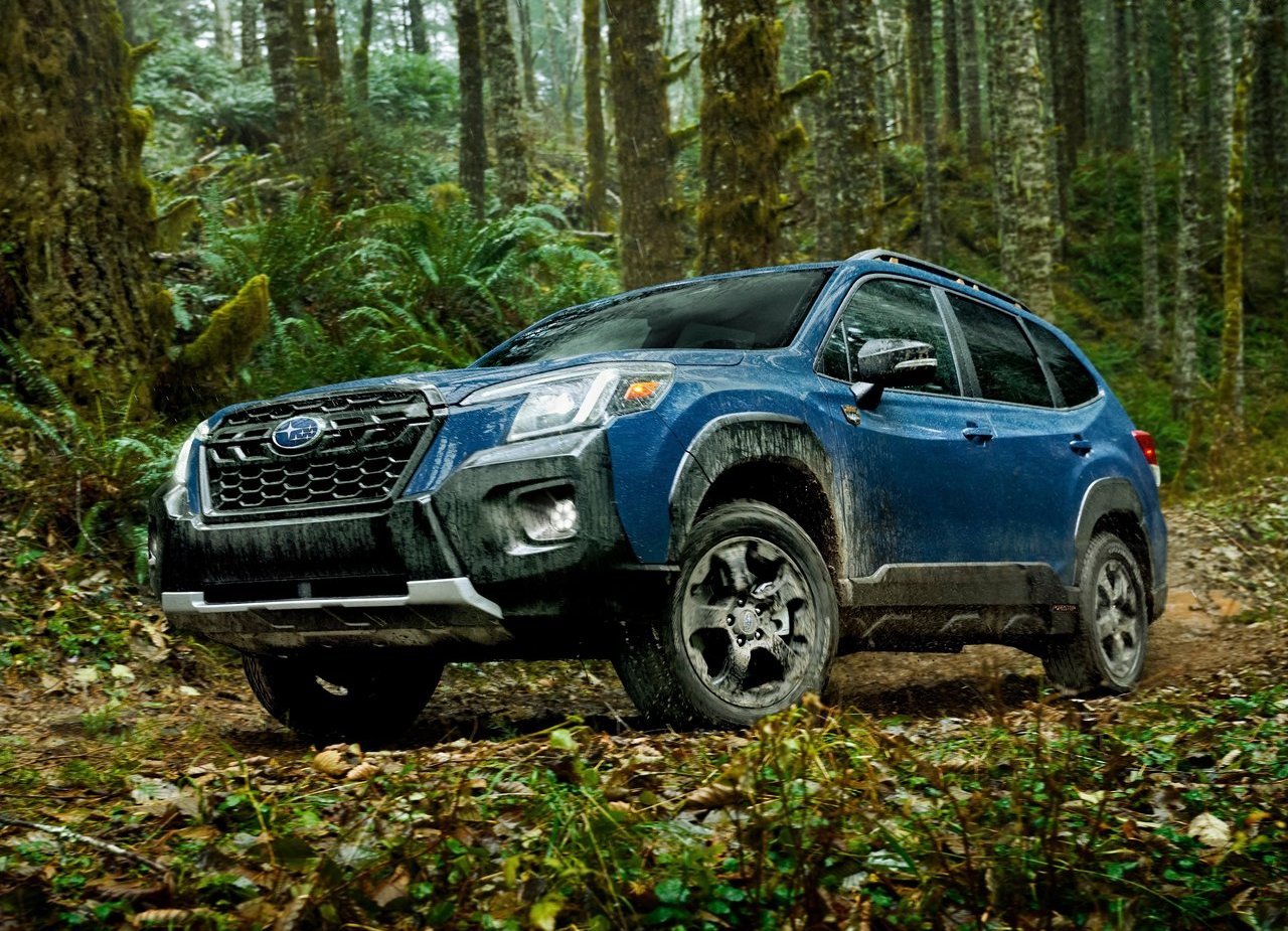SUBARU FORESTER WILDERNESS, foto 19