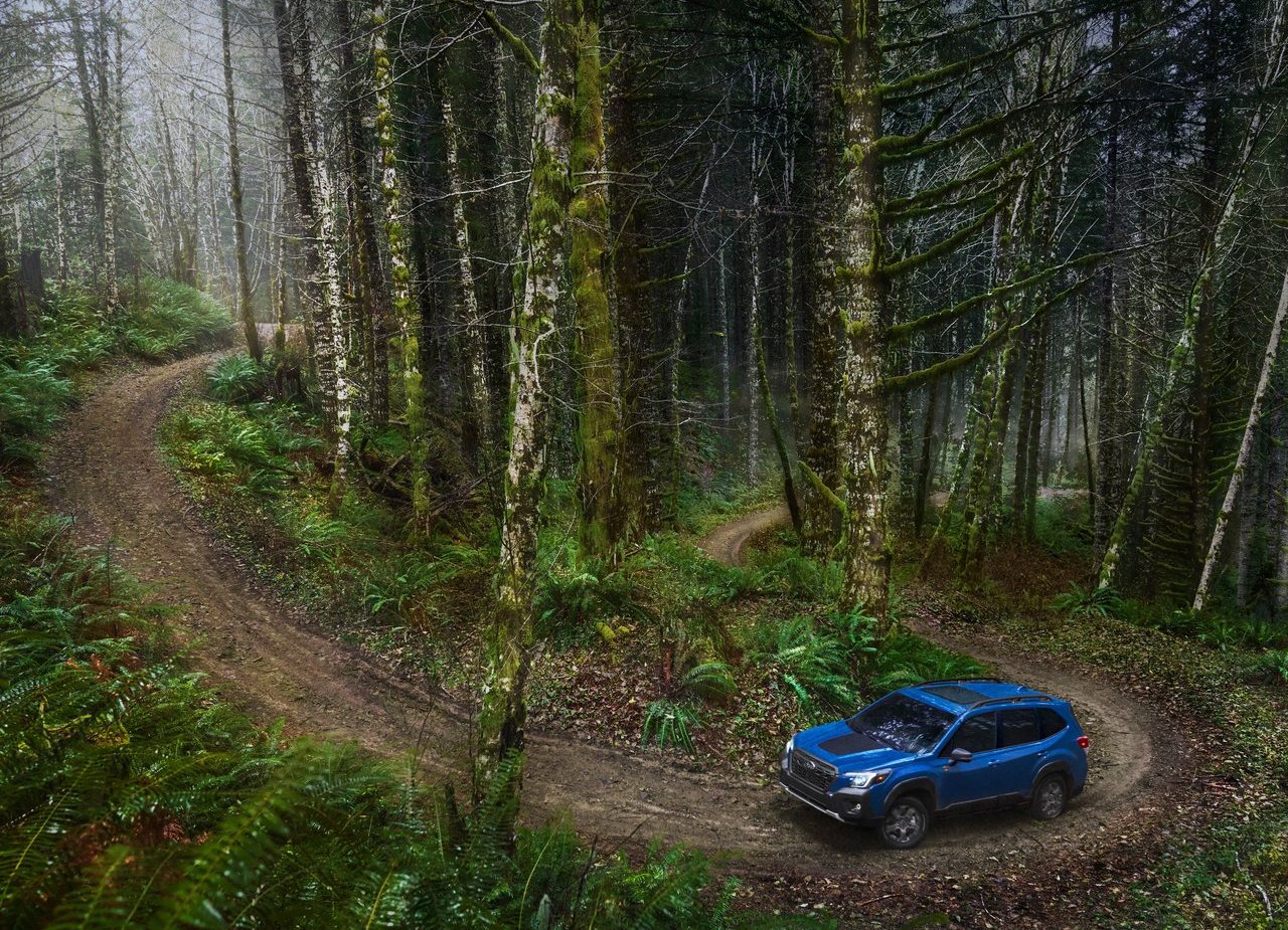 SUBARU FORESTER WILDERNESS, foto 16