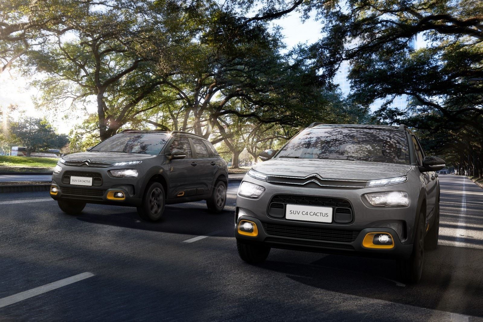 2021 - CITROËN C4 CACTUS X SERIES, foto 8