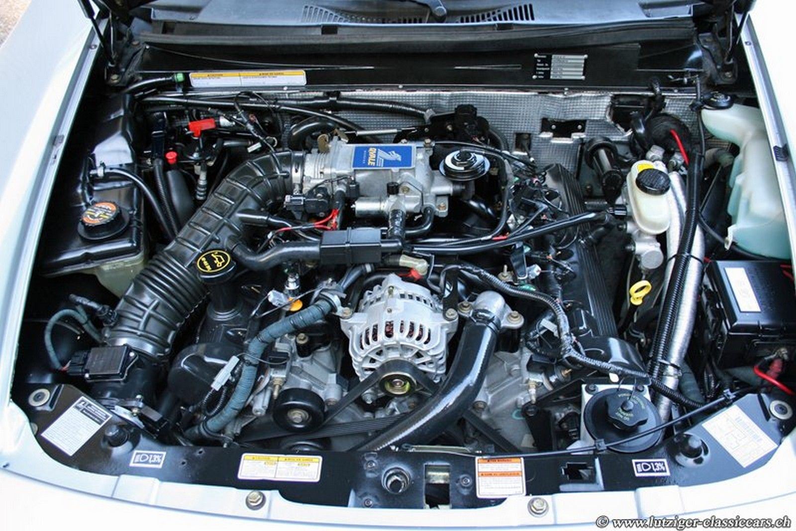 QVALE MANGUSTA, foto 29