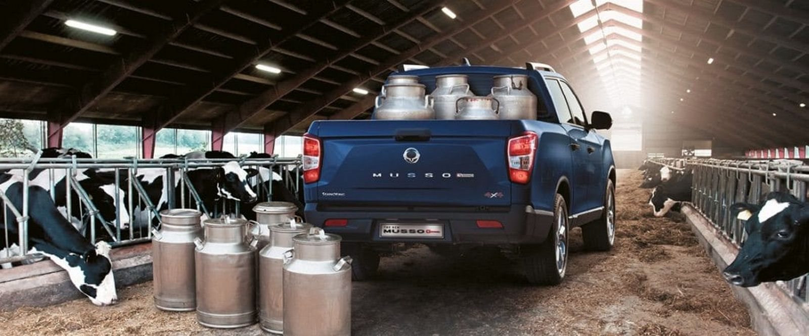 SSANGYONG MUSSO, foto 16