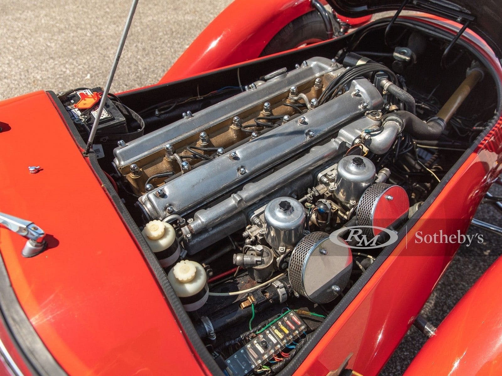 KOUGAR SPORTS JAGUAR, foto 41