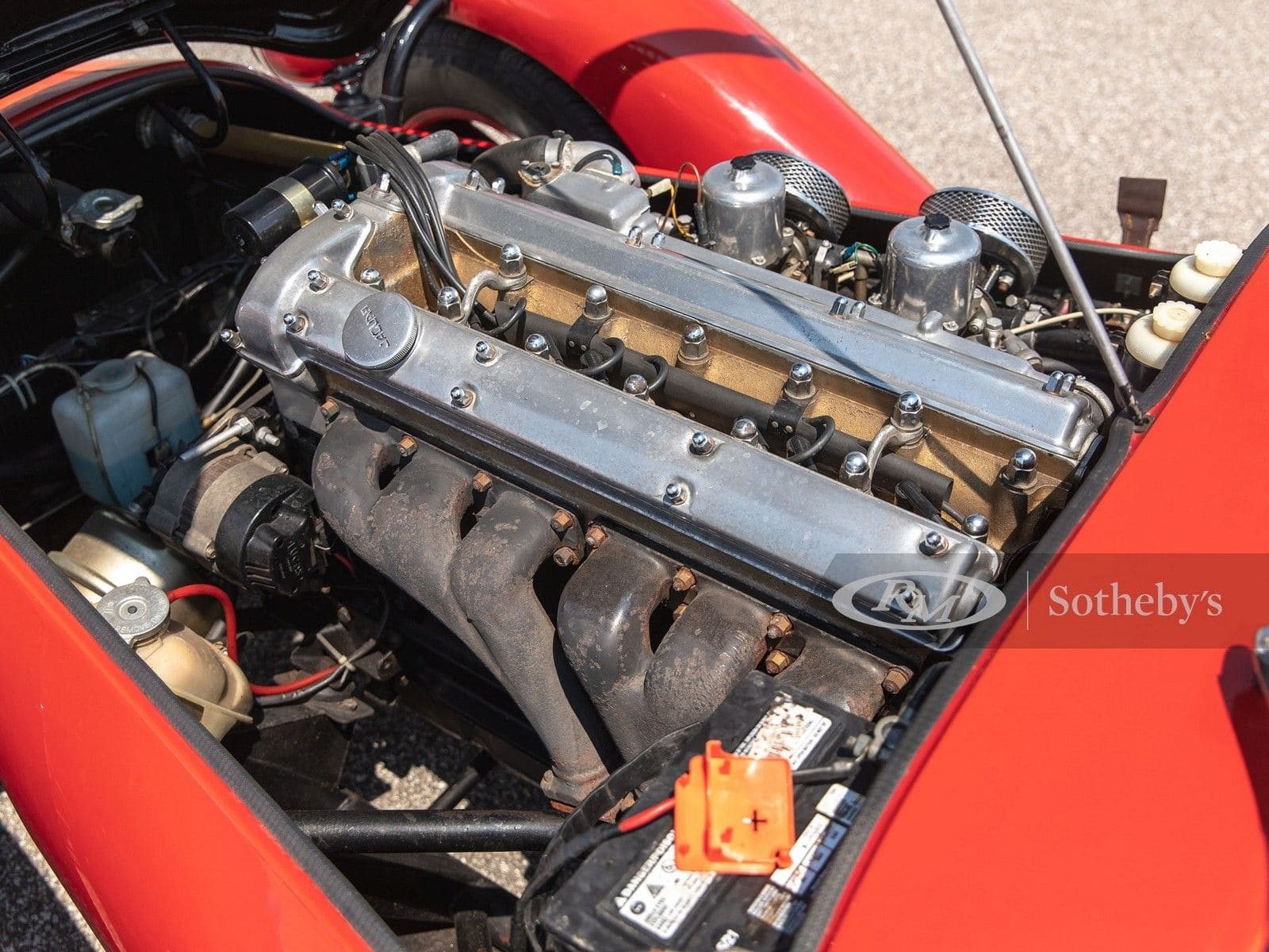 KOUGAR SPORTS JAGUAR, foto 42
