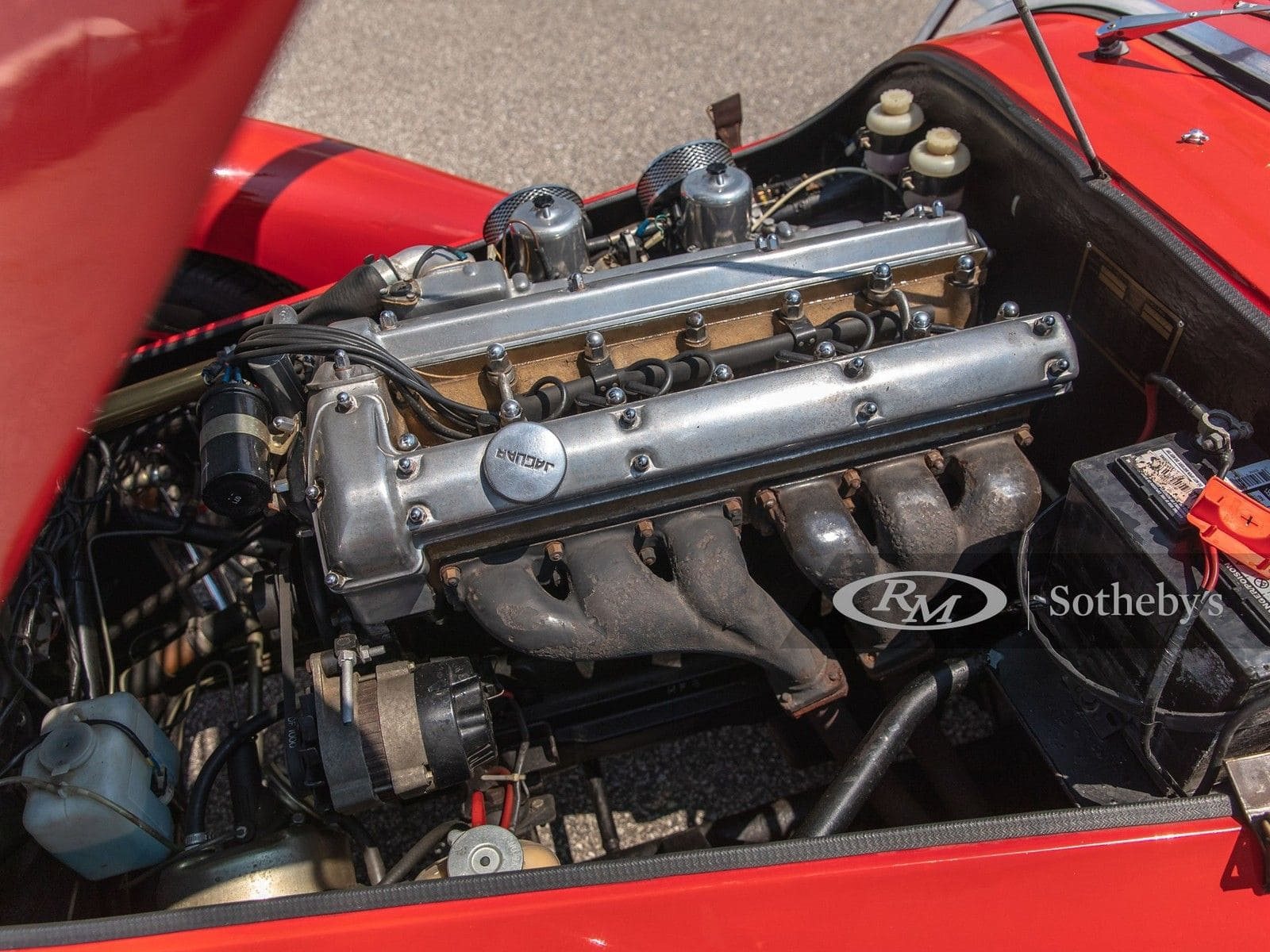KOUGAR SPORTS JAGUAR, foto 43