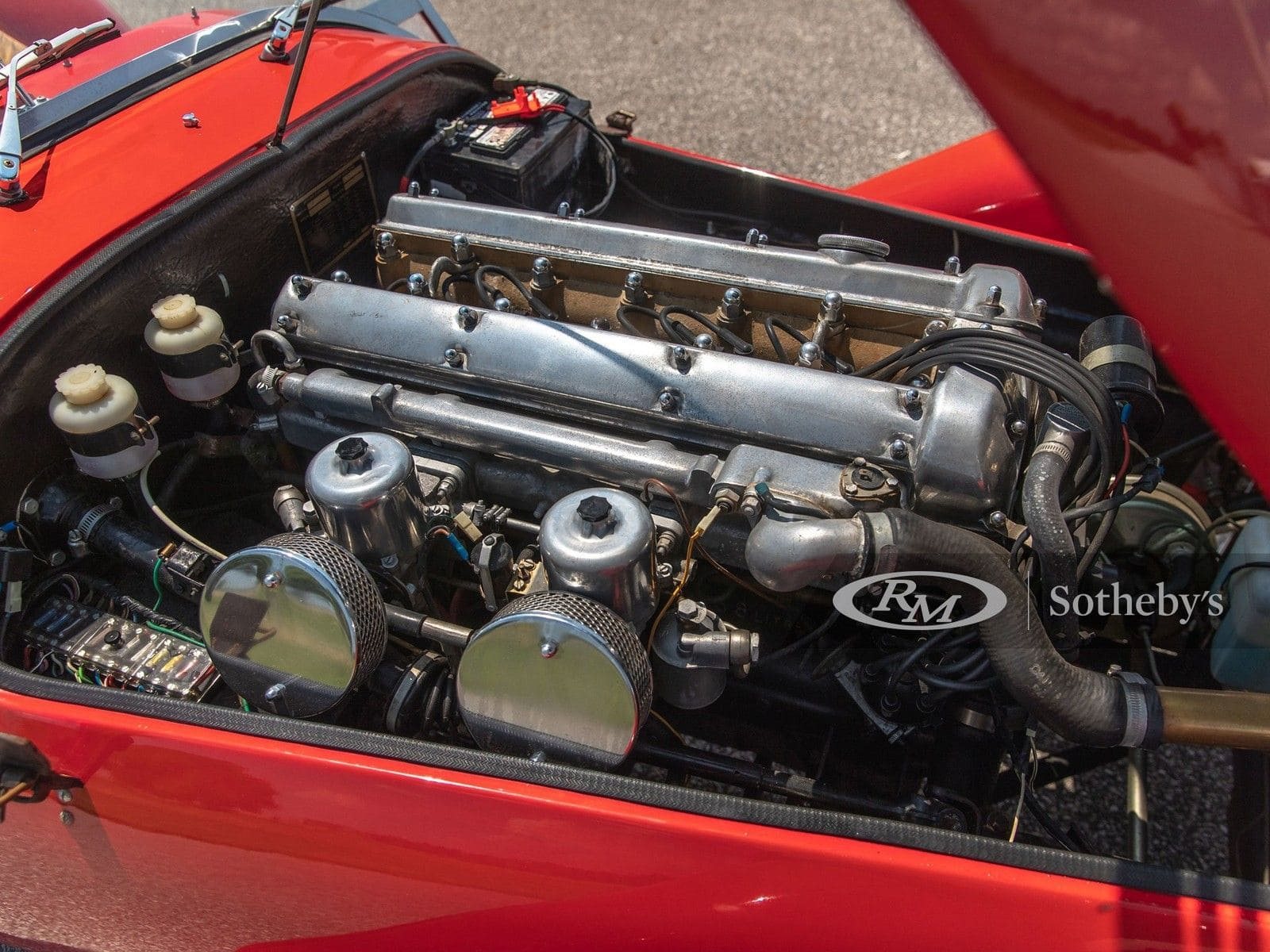KOUGAR SPORTS JAGUAR, foto 44