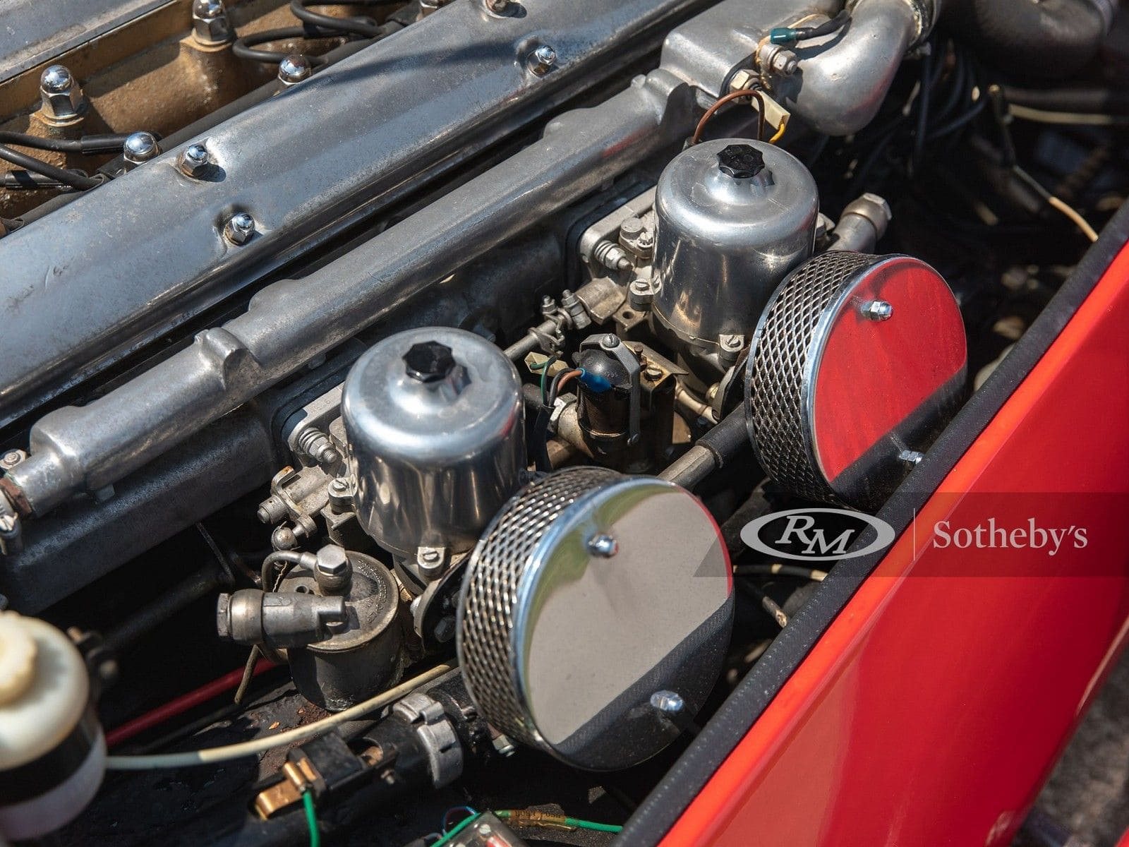 KOUGAR SPORTS JAGUAR, foto 45