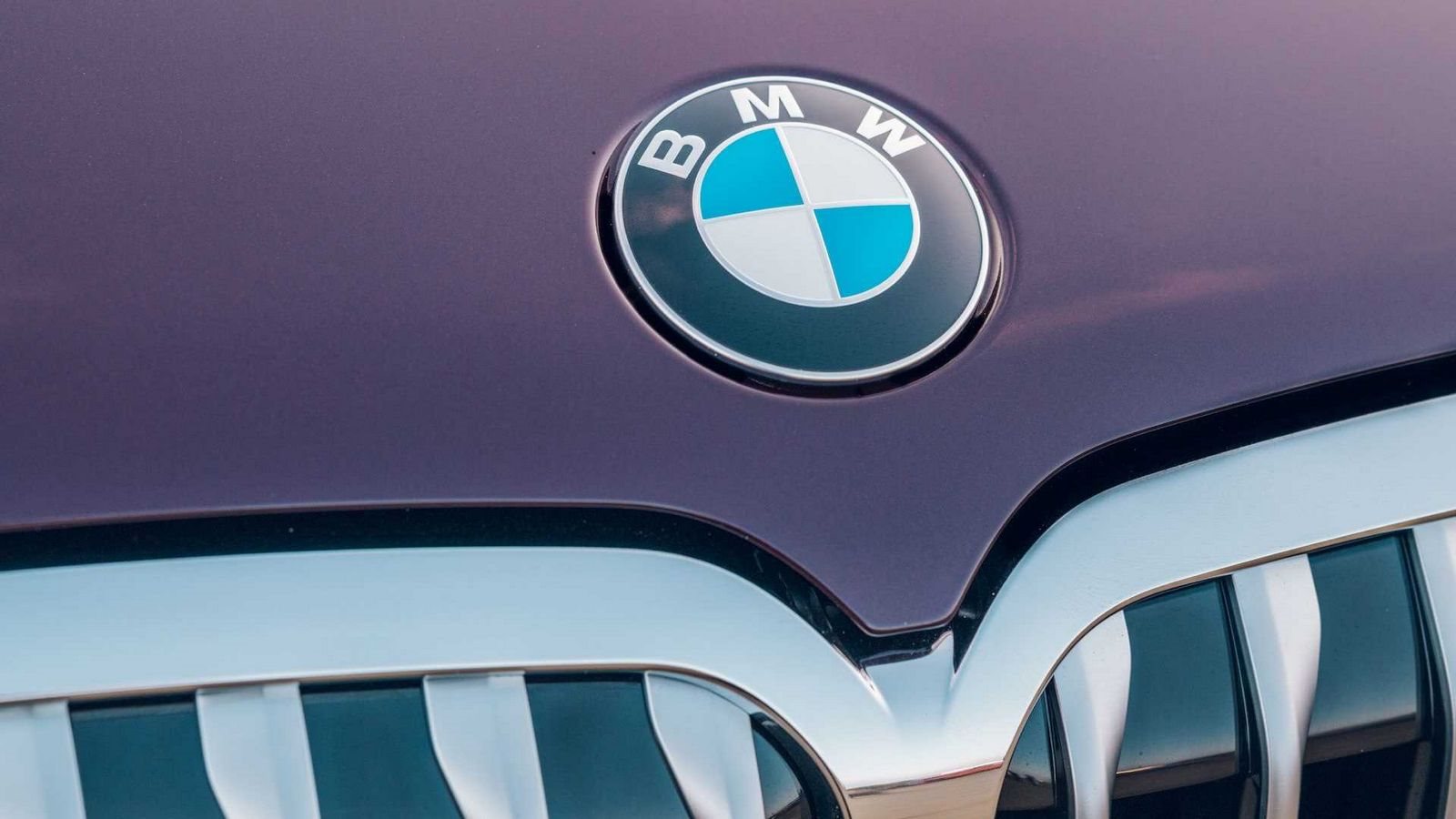 BMW X7 NISHIJIN EDITION, foto 8