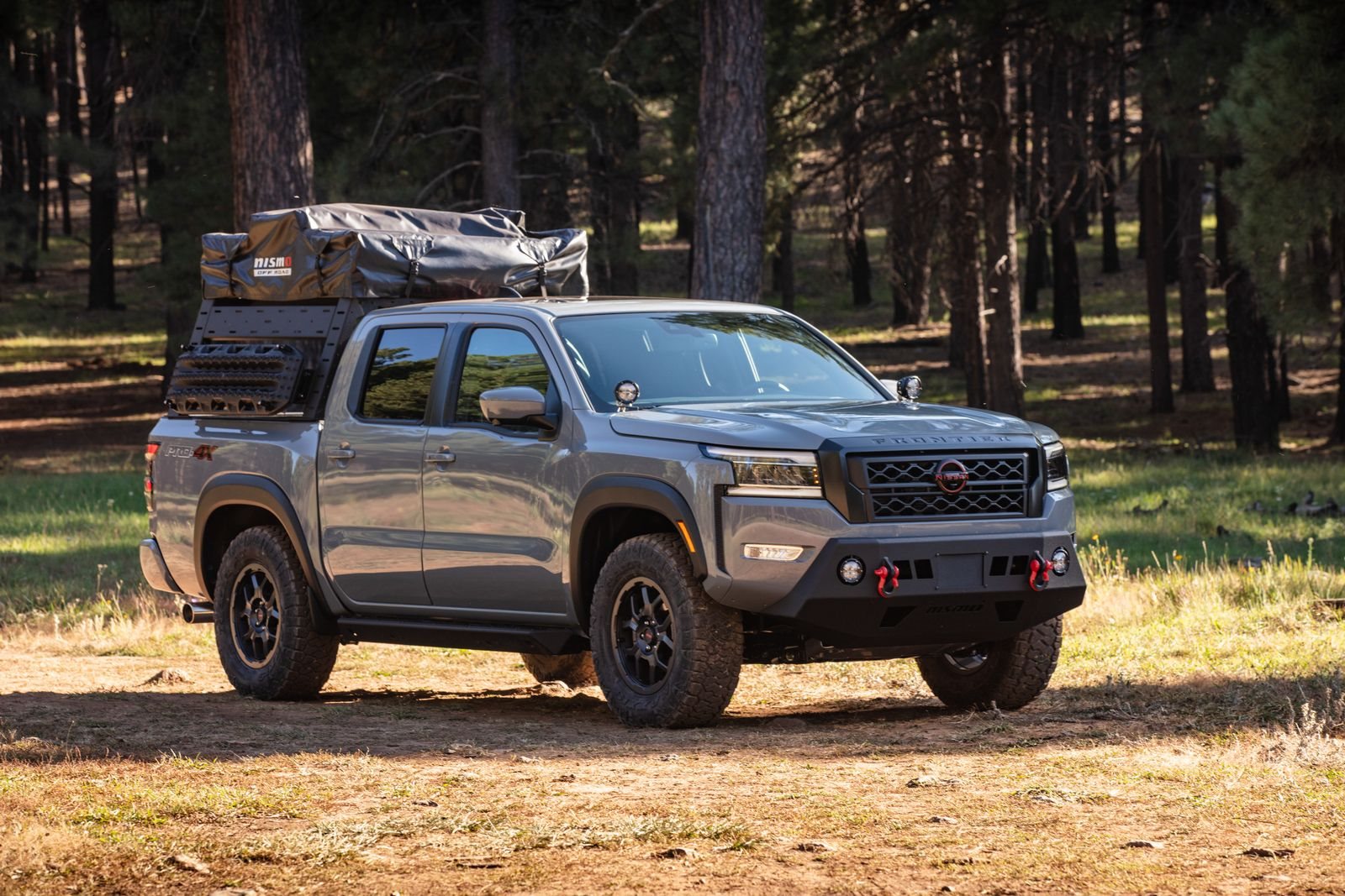 NISSAN FRONTIER NISMO OFF-ROAD, foto 2