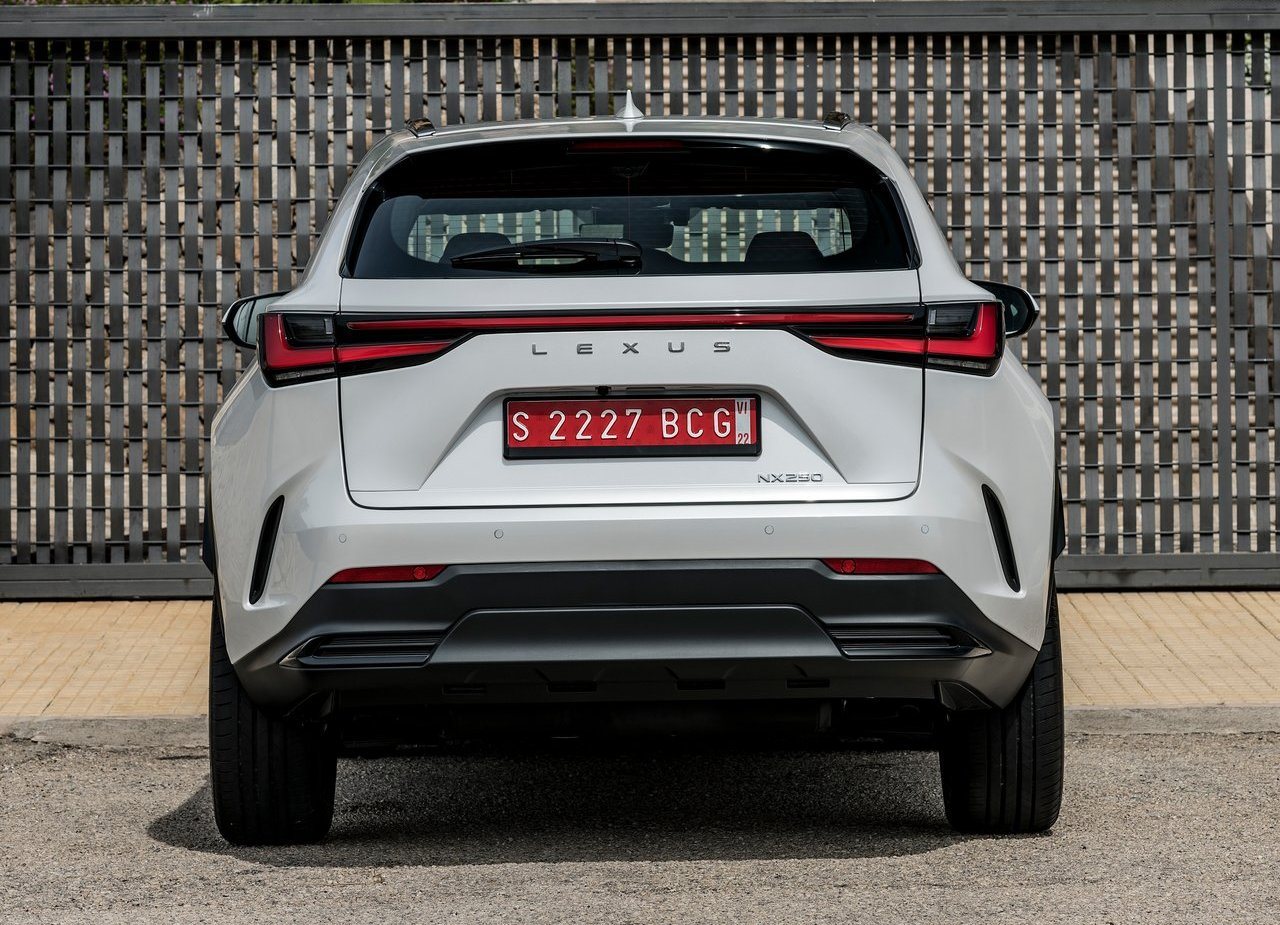 2022 - LEXUS NX EU VERSION, foto 148