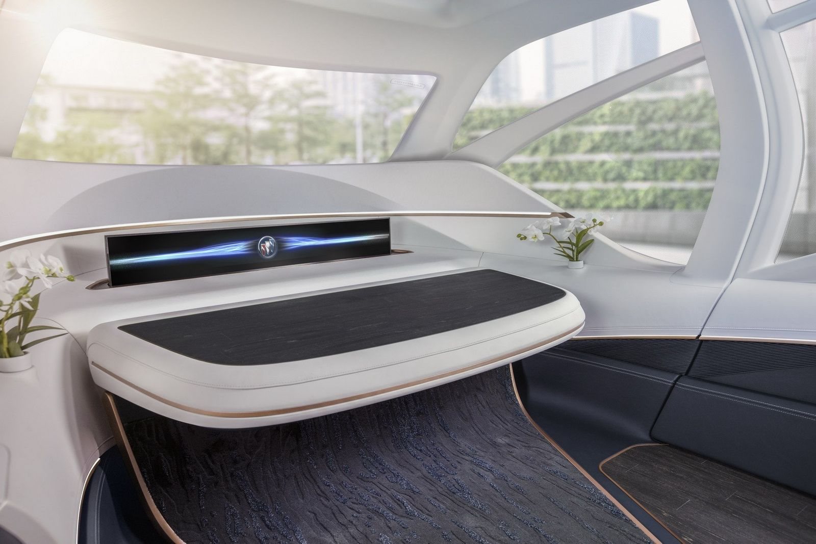 BUICK SMART POD CONCEPT, foto 11