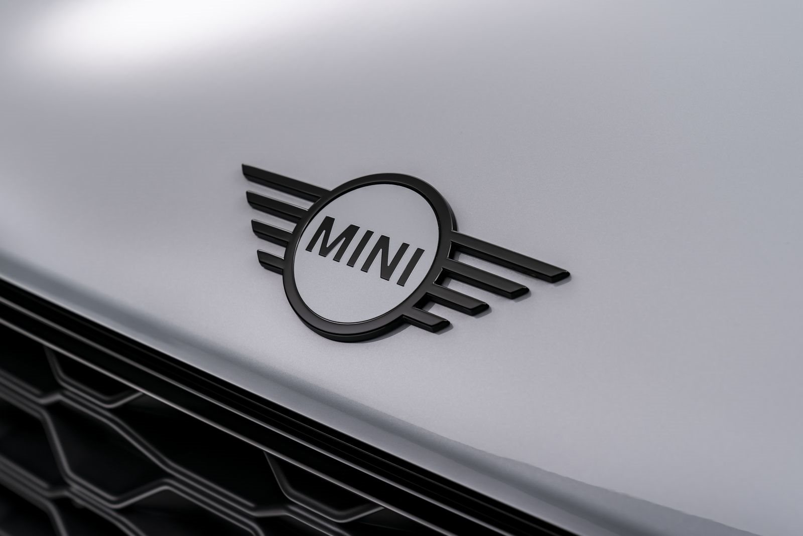 MINI SPECIAL EDITIONS, foto 47