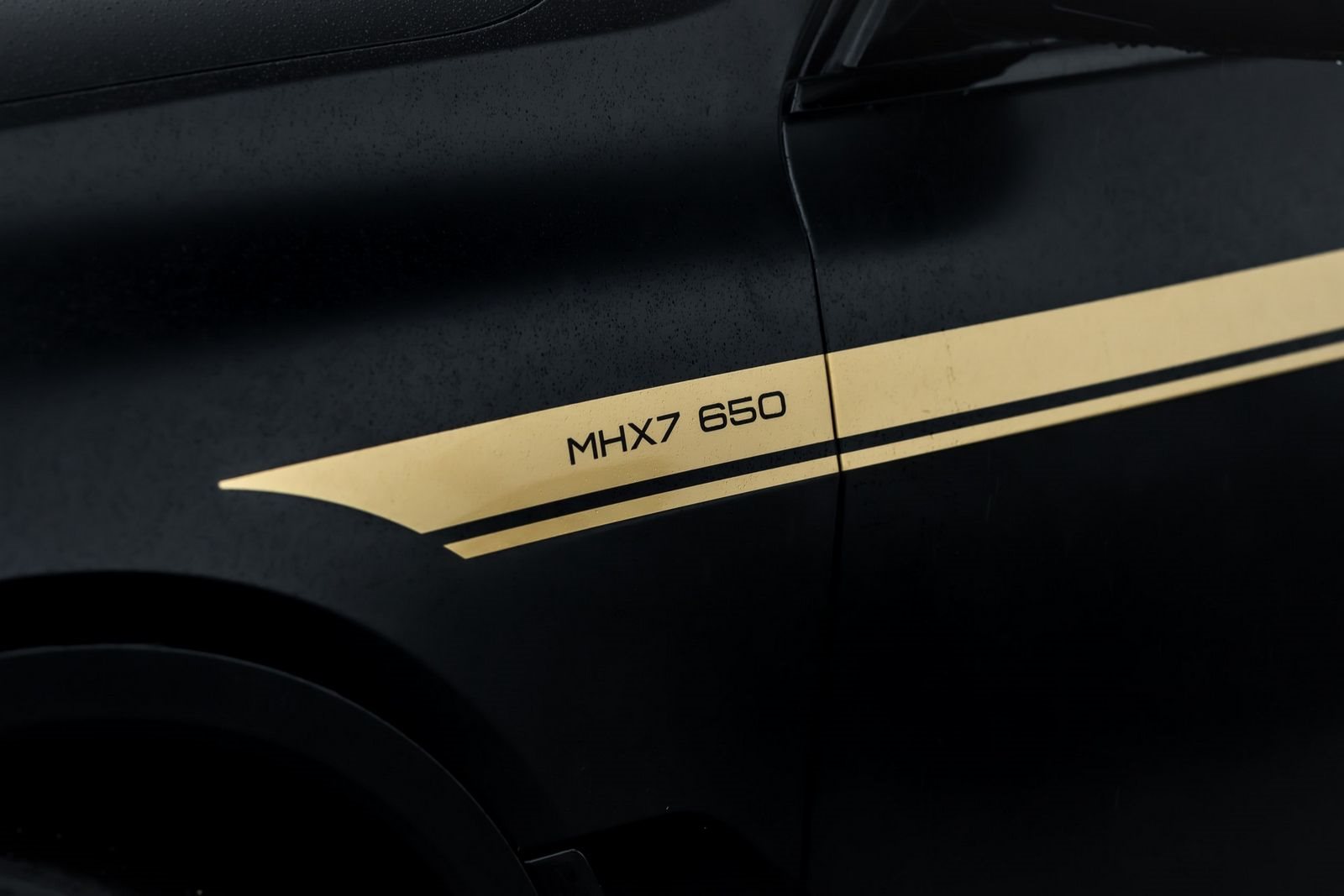 BMW X7 MHX7 650 BY MANHART, foto 8