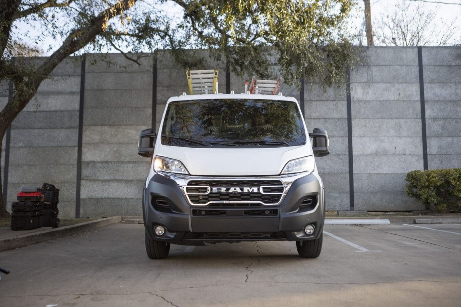 RAM PROMASTER, foto 10
