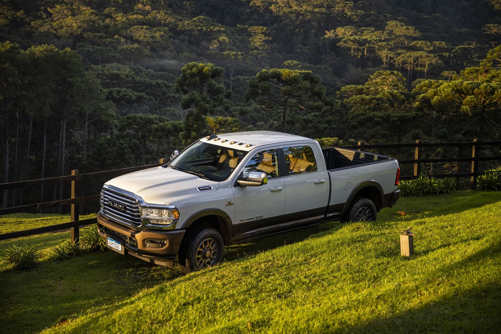 RAM 3500, foto 250