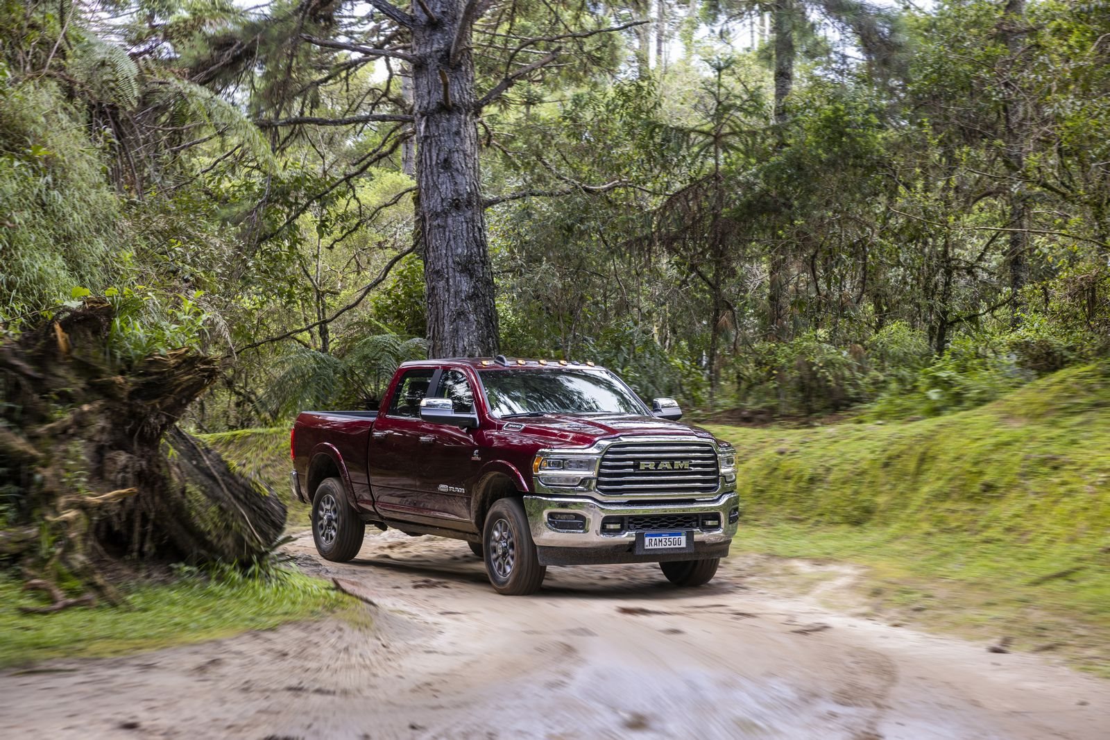 RAM 3500, foto 256