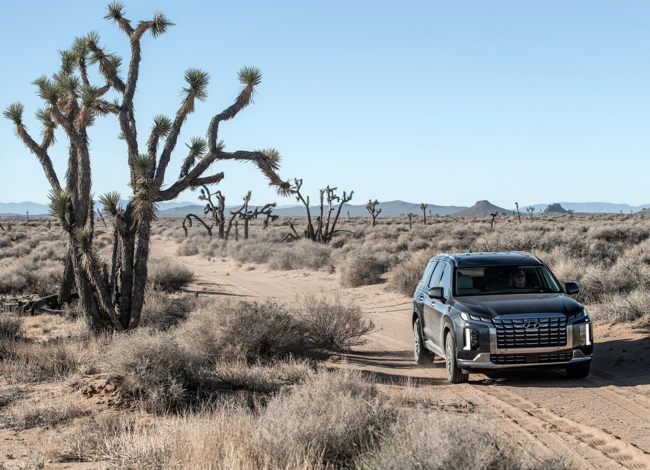 HYUNDAI PALISADE, foto 4