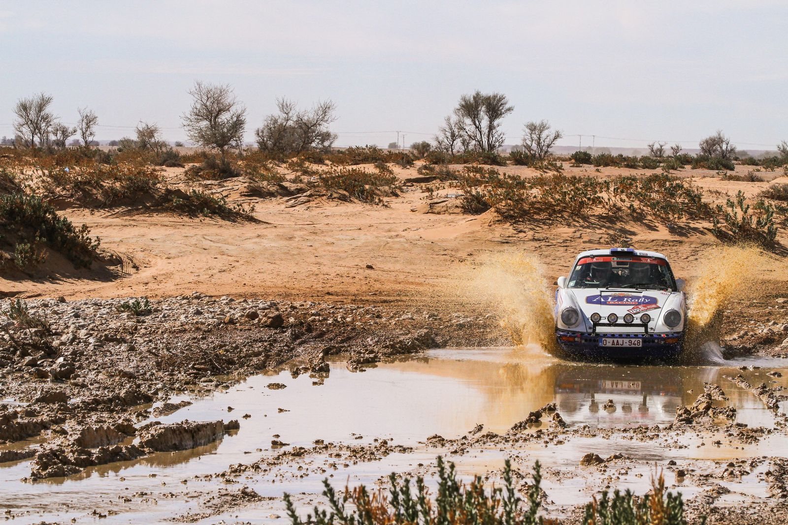PORSCHE 911 SC RALLY, foto 70