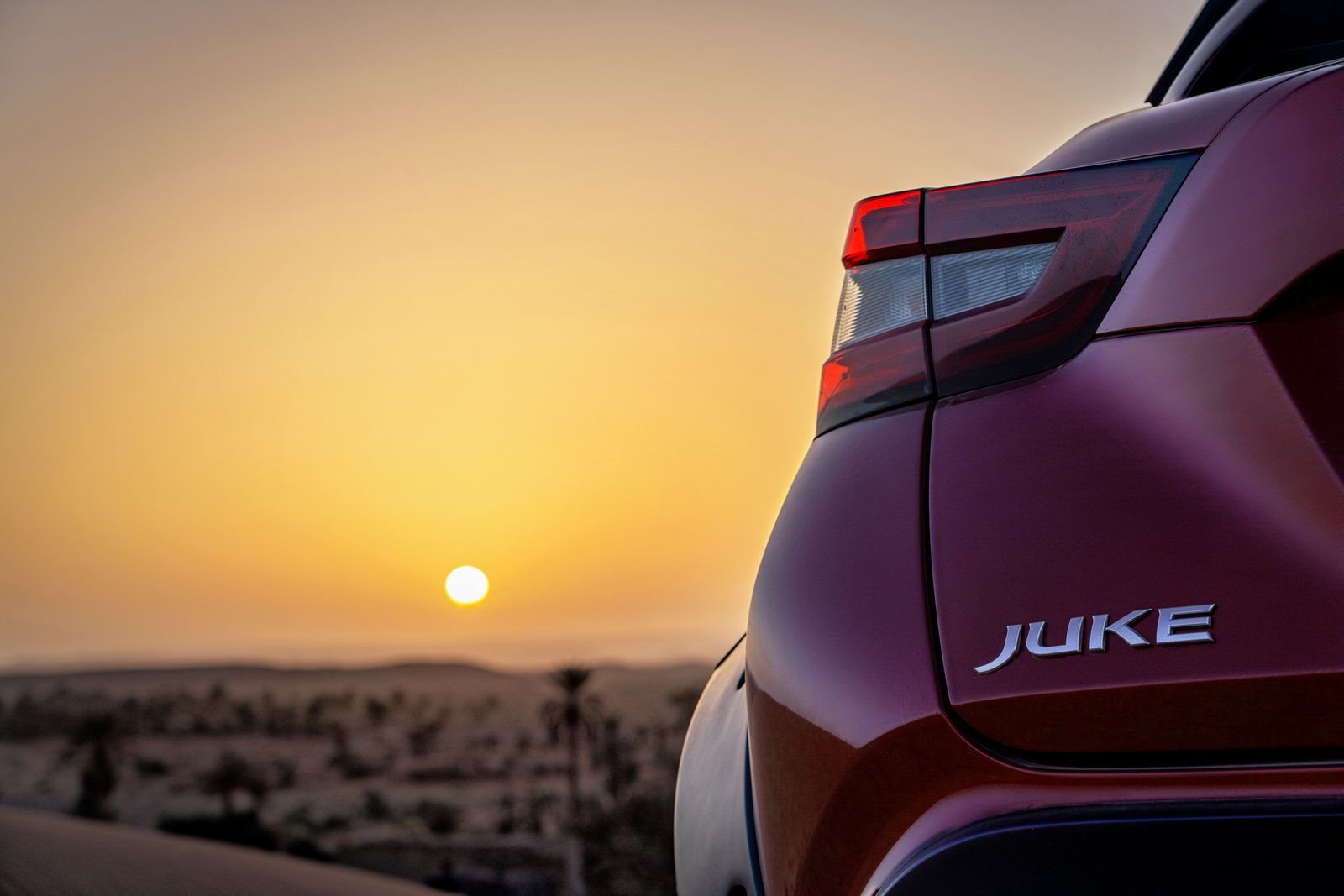 NISSAN JUKE HYBRID RALLY TRIBUTE, foto 19