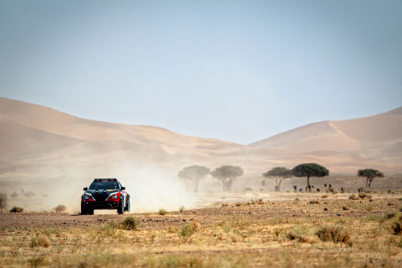 NISSAN JUKE HYBRID RALLY TRIBUTE, foto 24