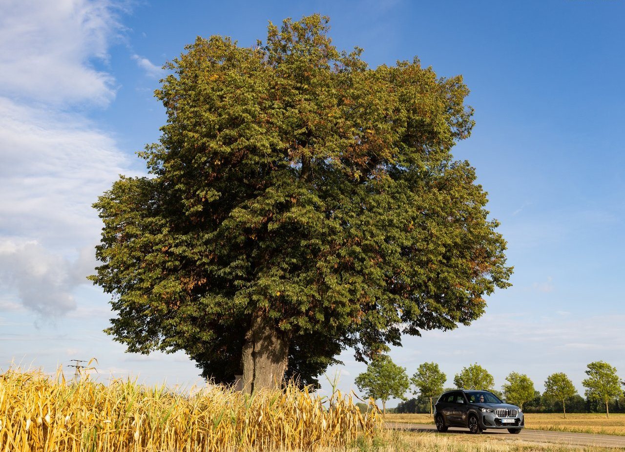 BMW X1, foto 14